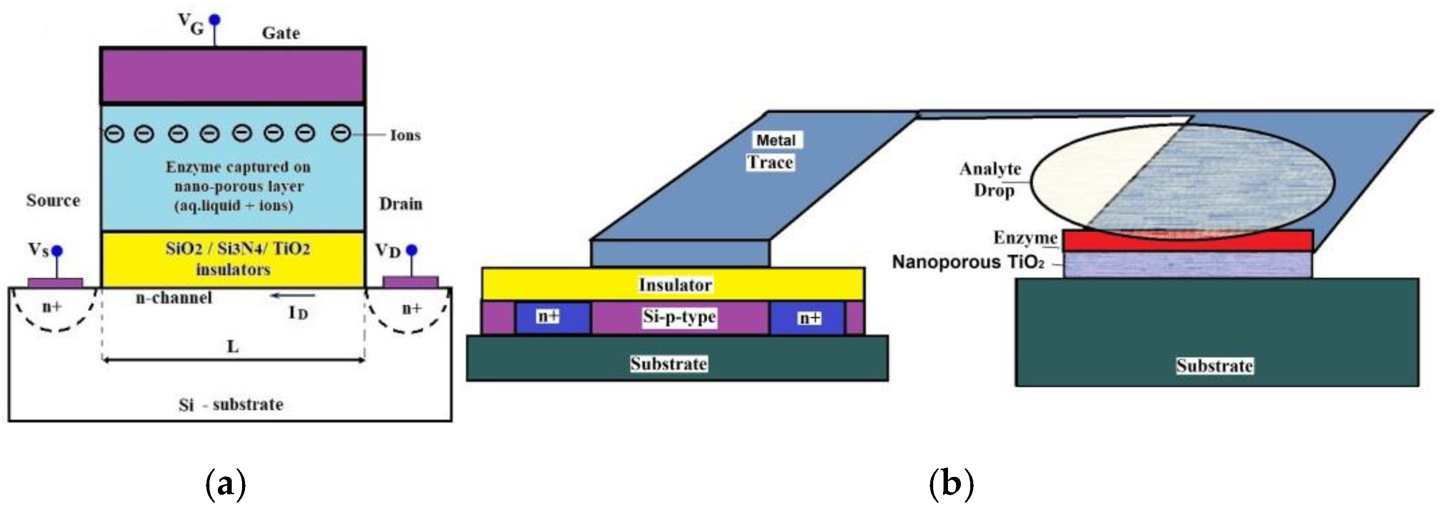 Chemosensors 13 00316 g018