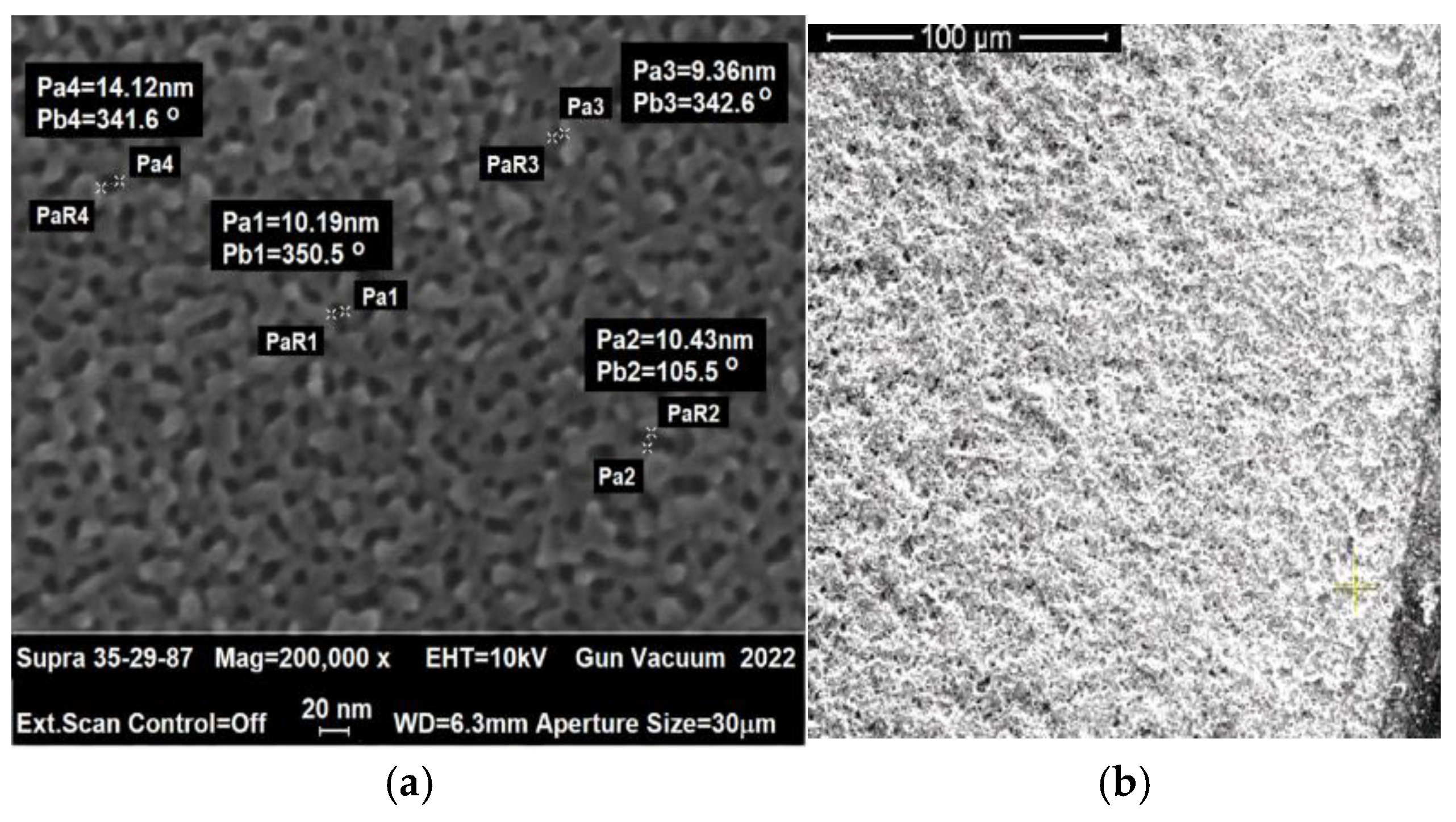 Chemosensors 13 00316 g019