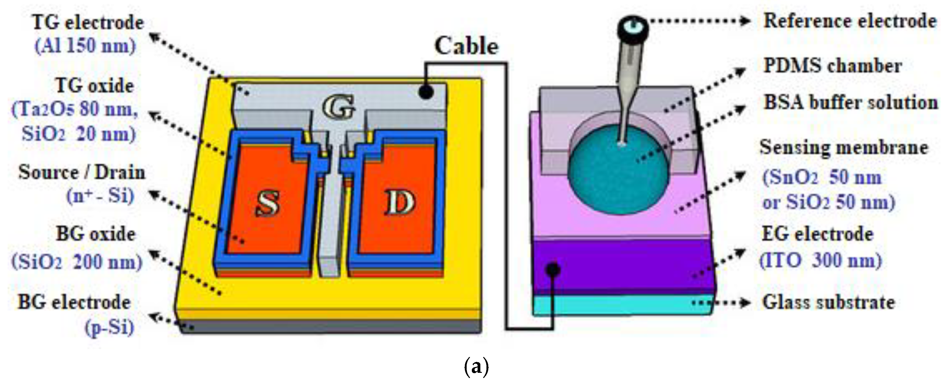 Chemosensors 13 00316 g020a