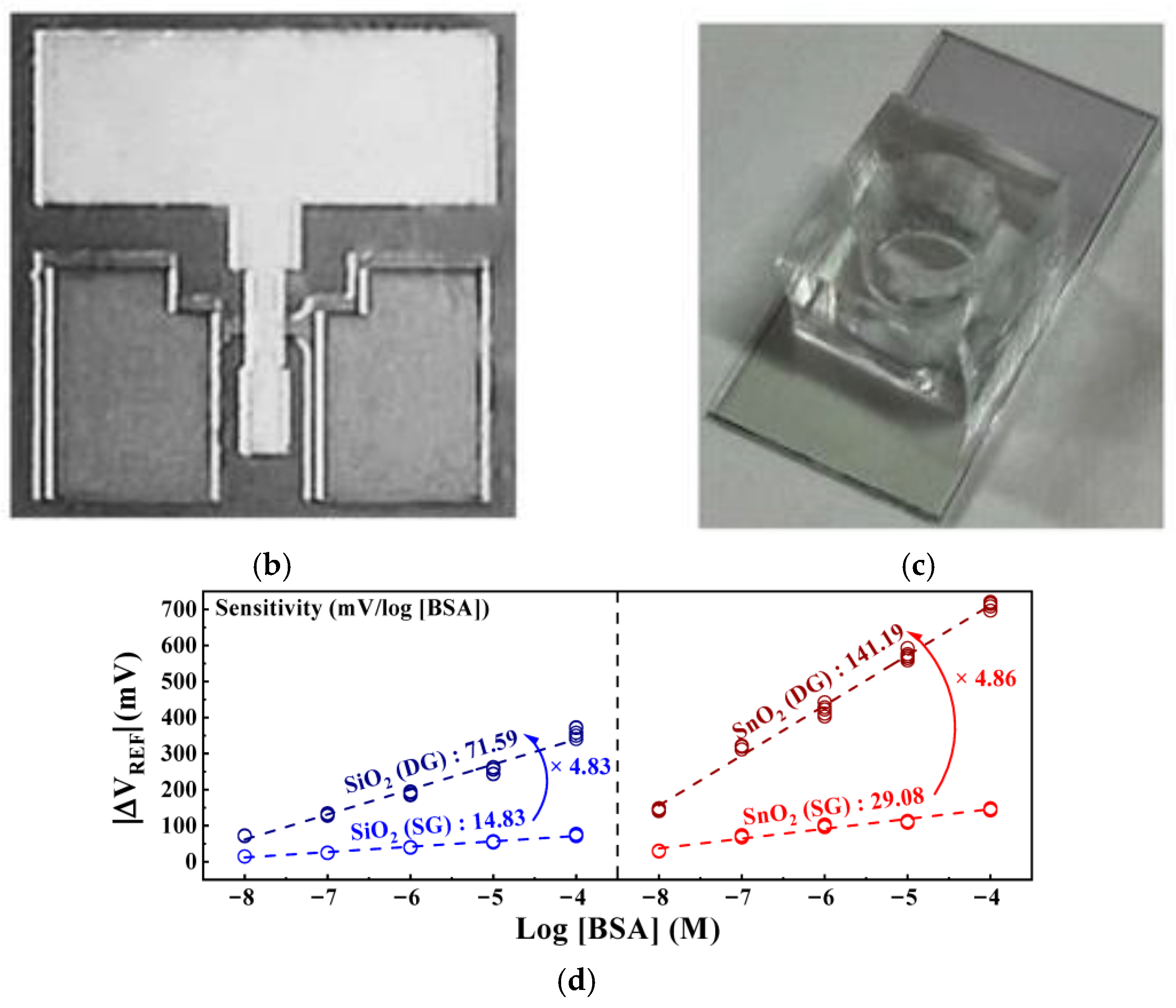 Chemosensors 13 00316 g020b