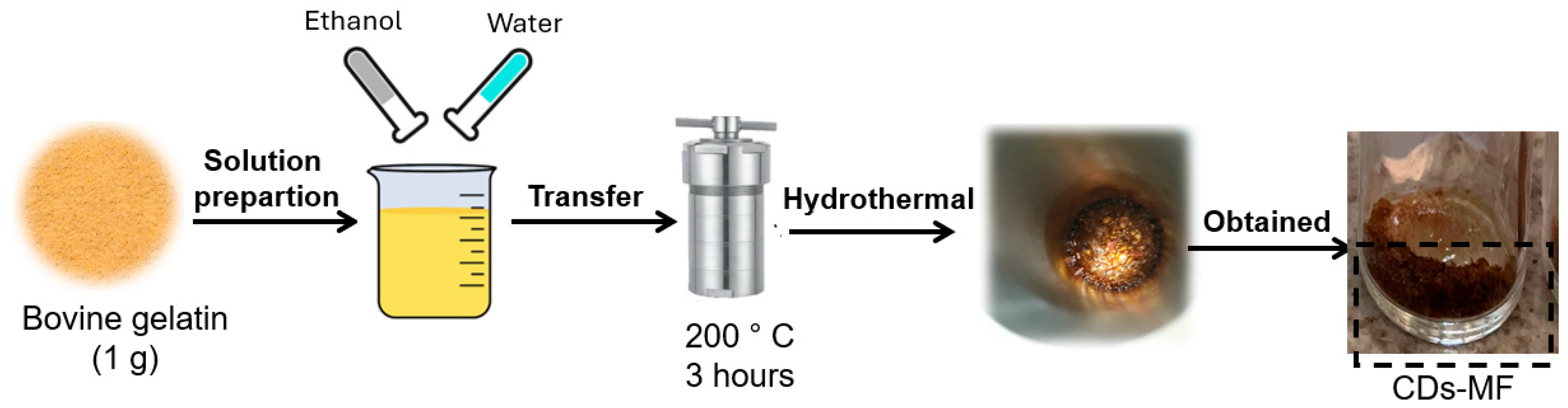 Chemosensors 13 00326 g001