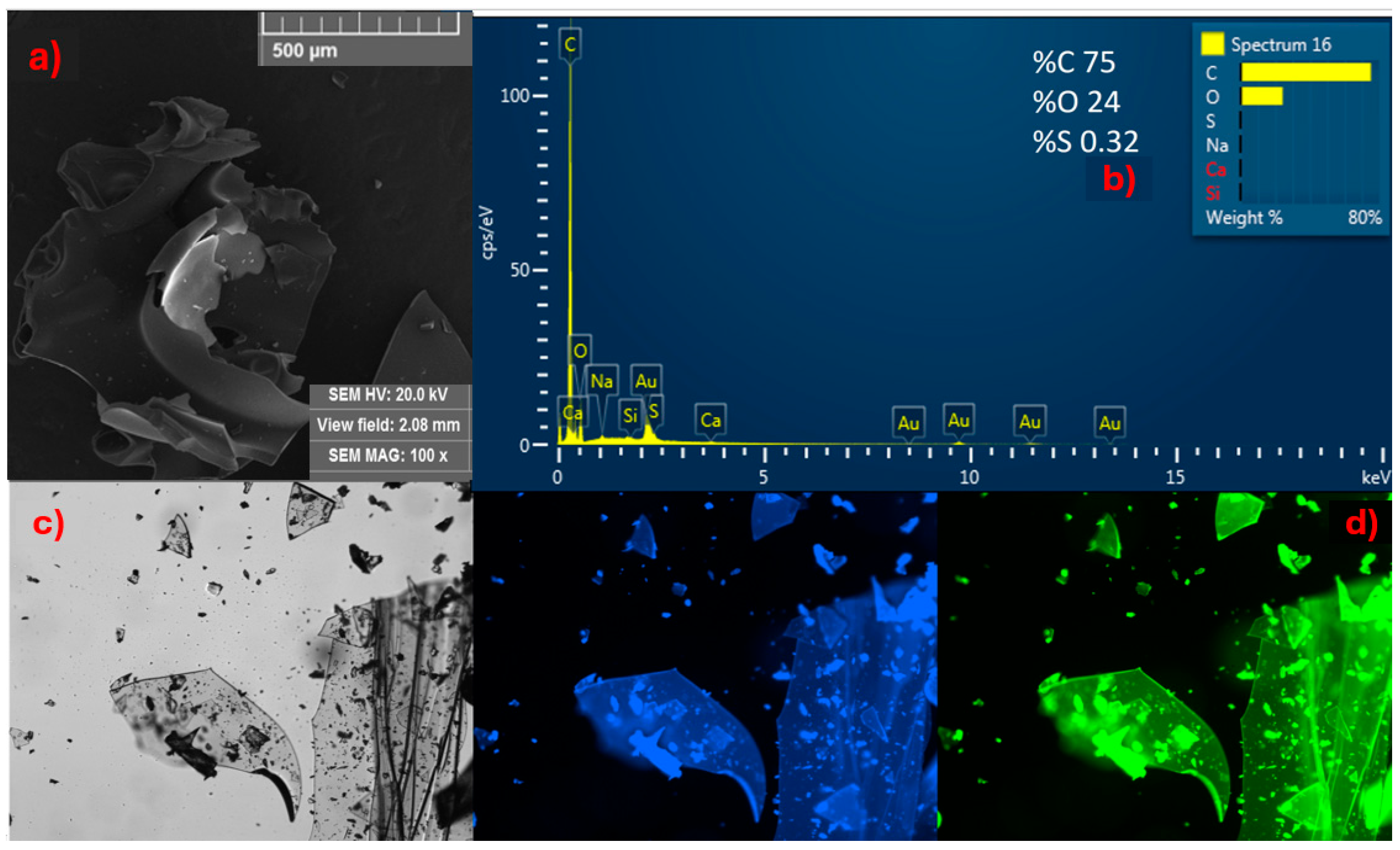 Chemosensors 13 00326 g004