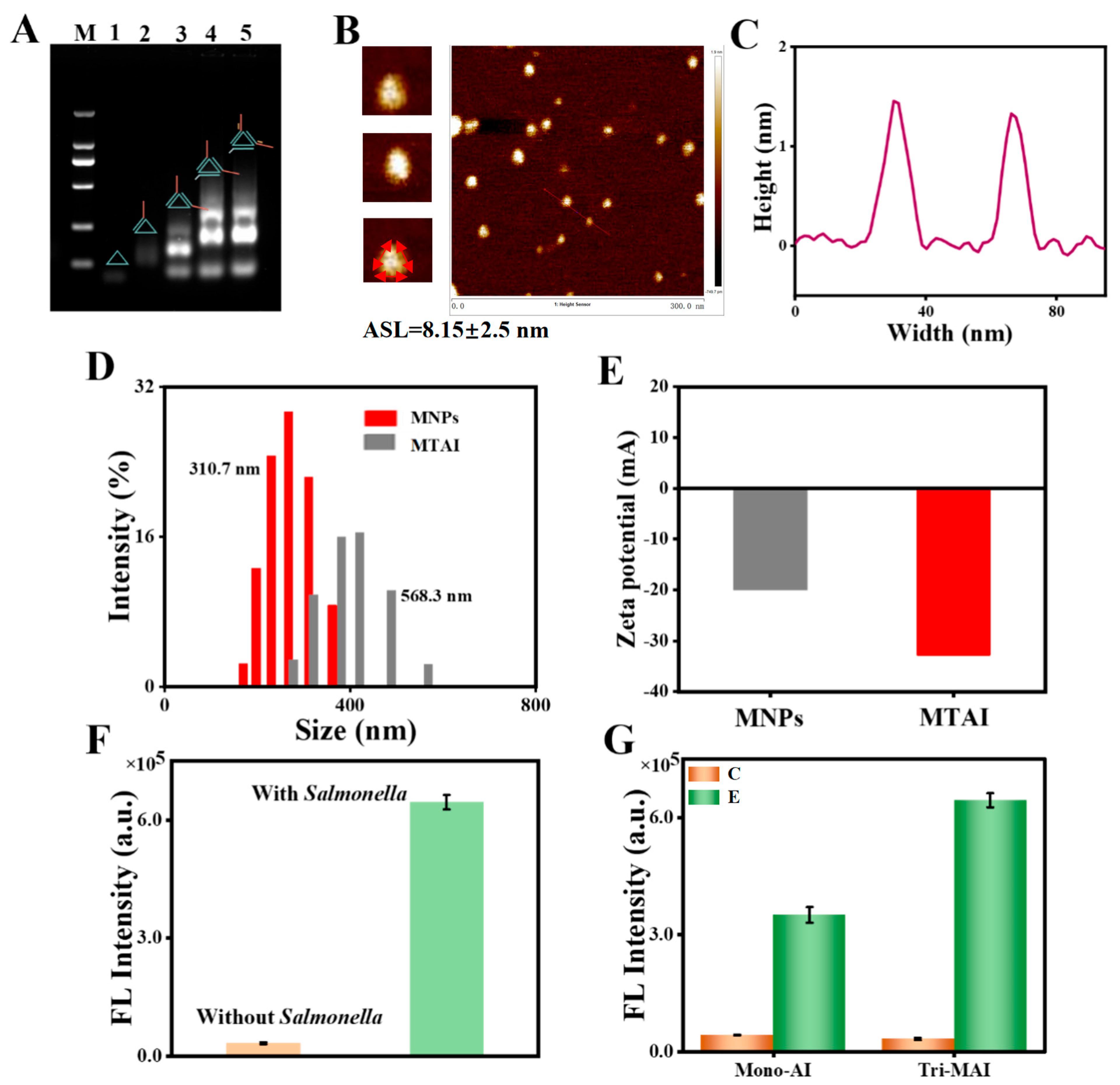 Chemosensors 13 00334 g001