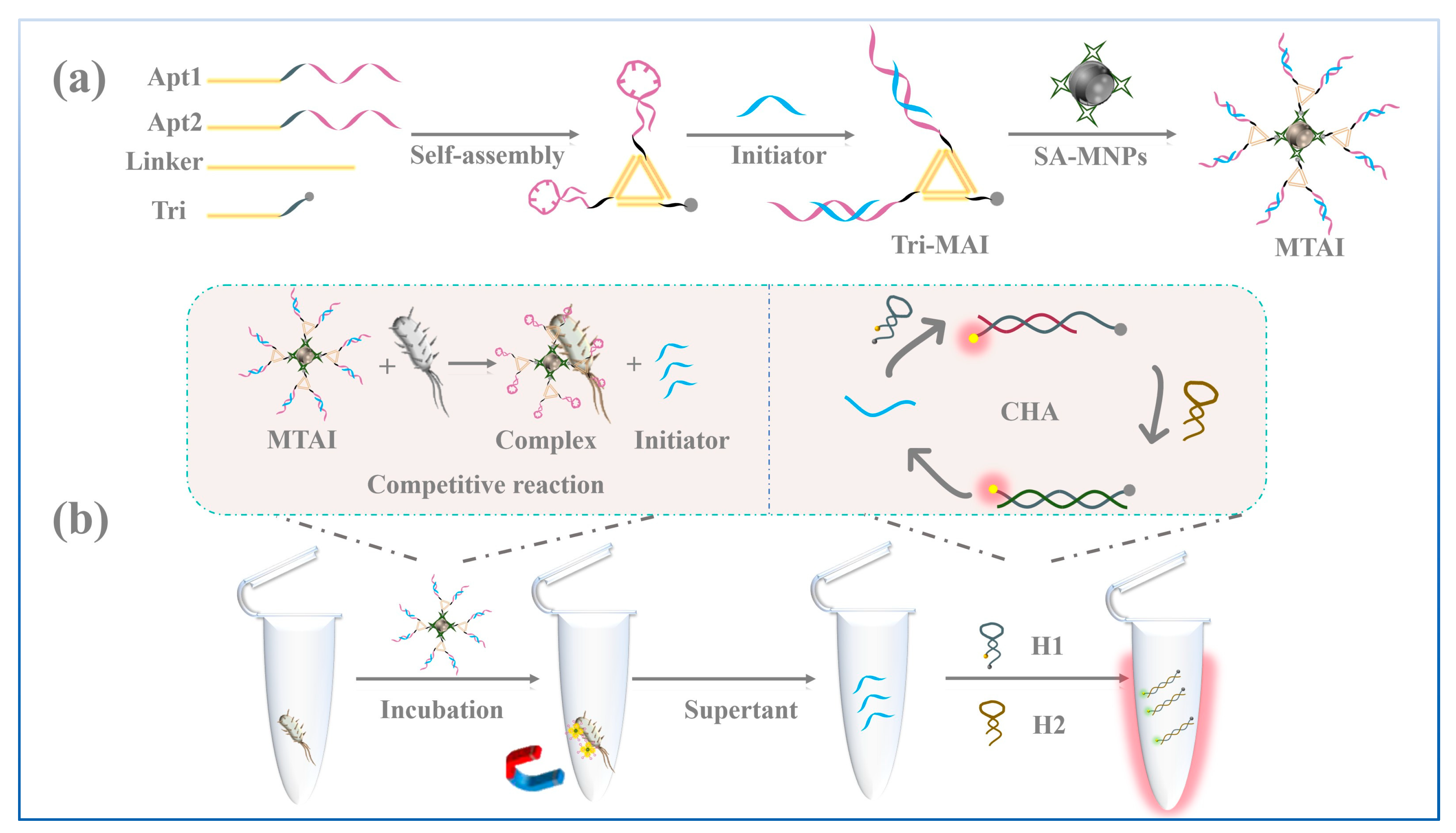 Chemosensors 13 00334 sch001