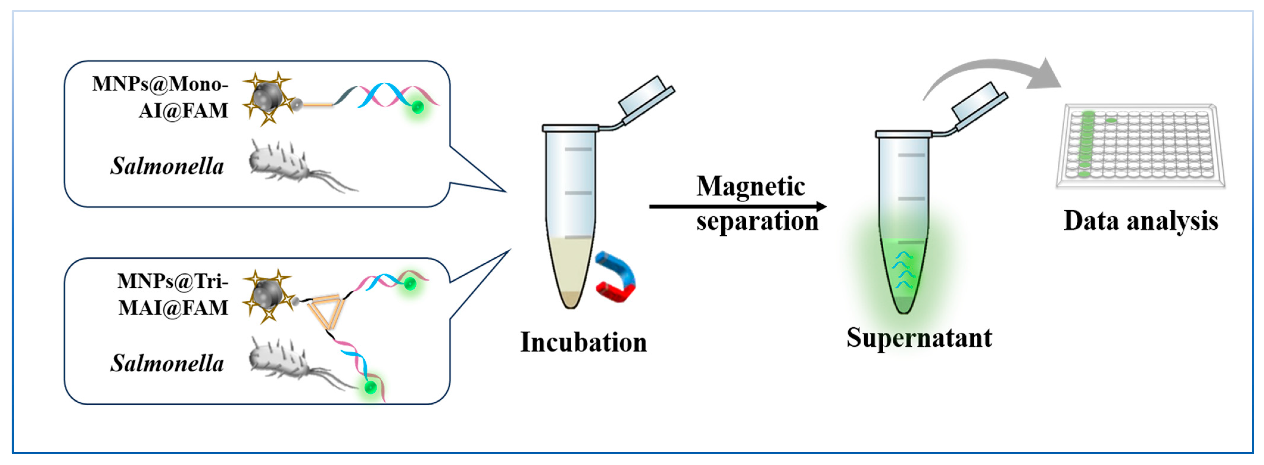 Chemosensors 13 00334 sch002