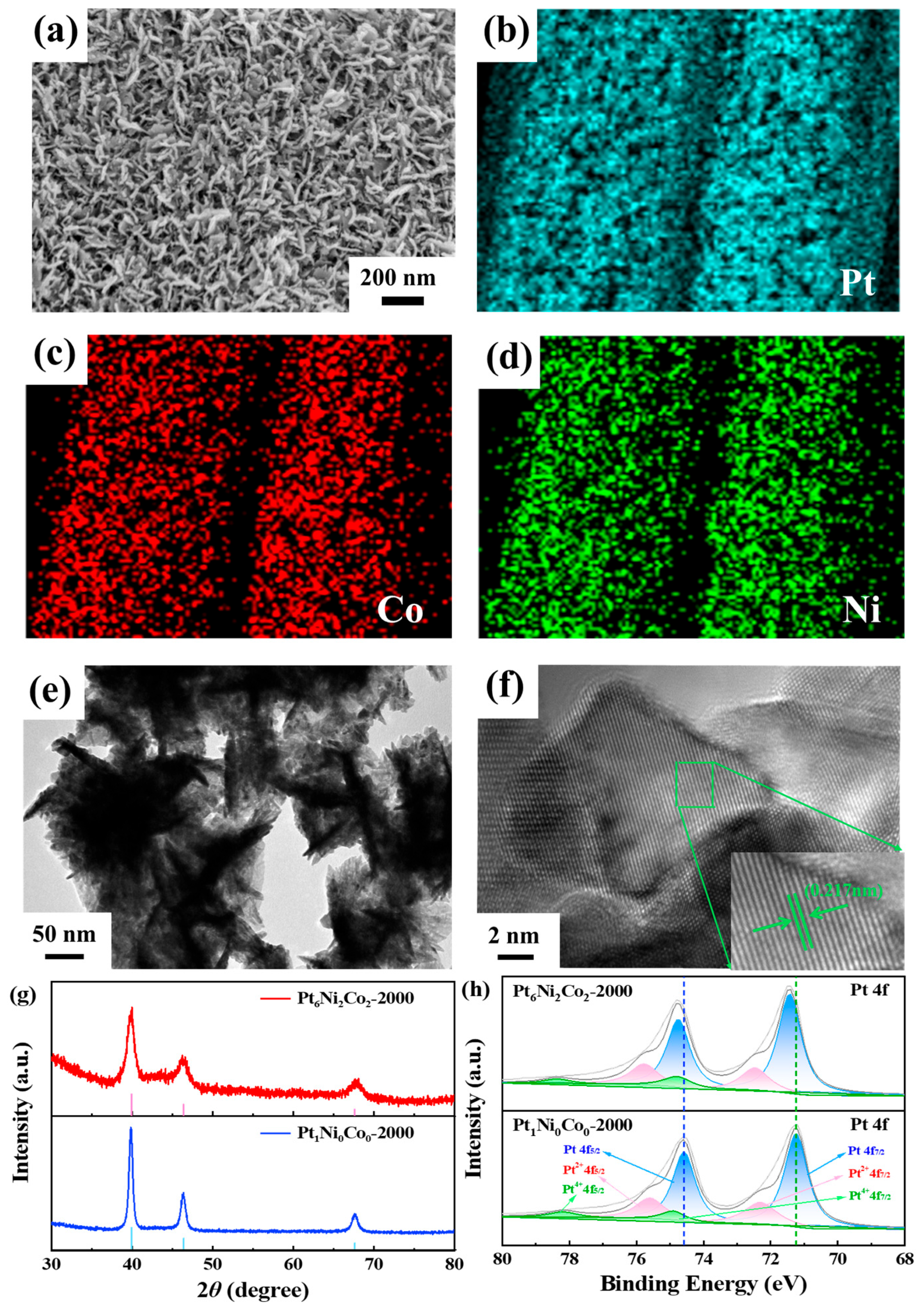 Chemosensors 13 00335 g001
