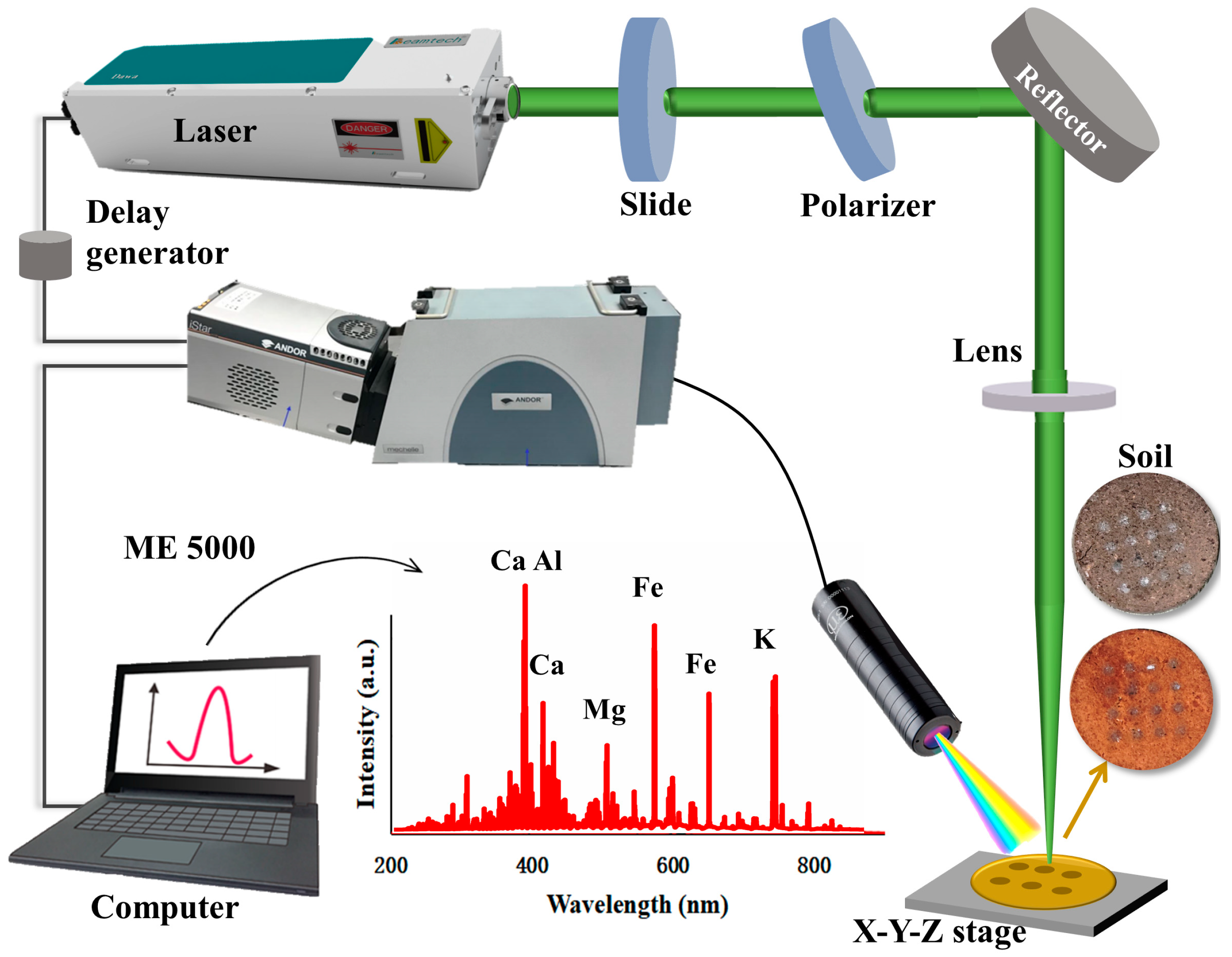 Chemosensors 13 00336 g001