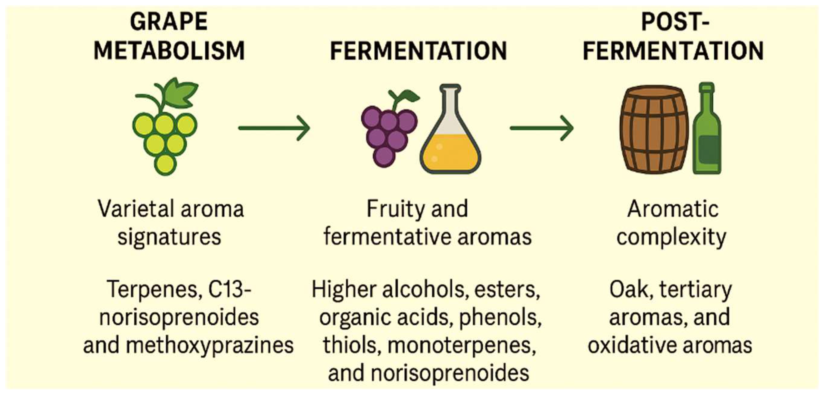 Chemosensors 13 00337 g001 Chemosensors 13 00337 g001