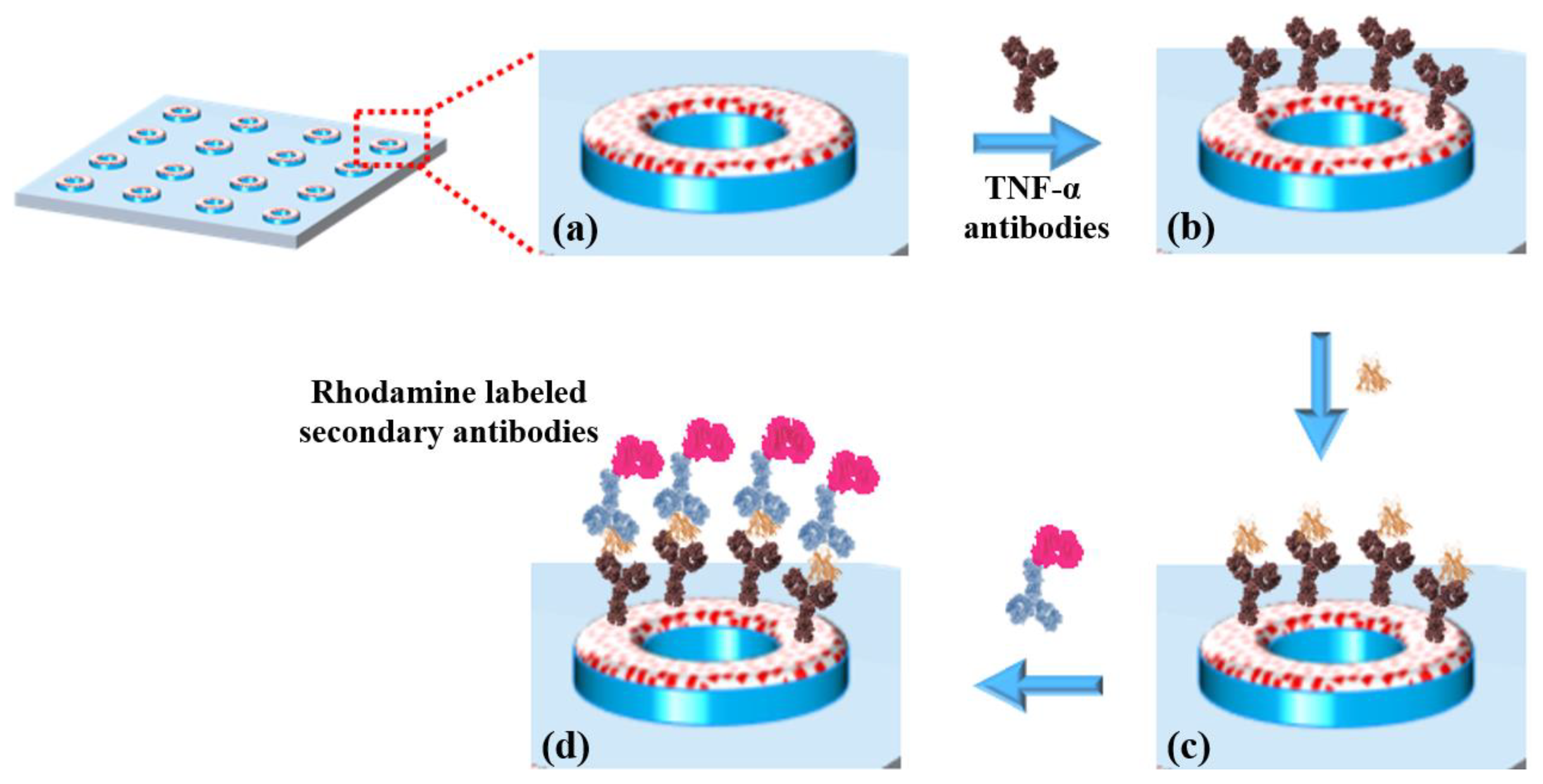 Chemosensors 13 00338 g003