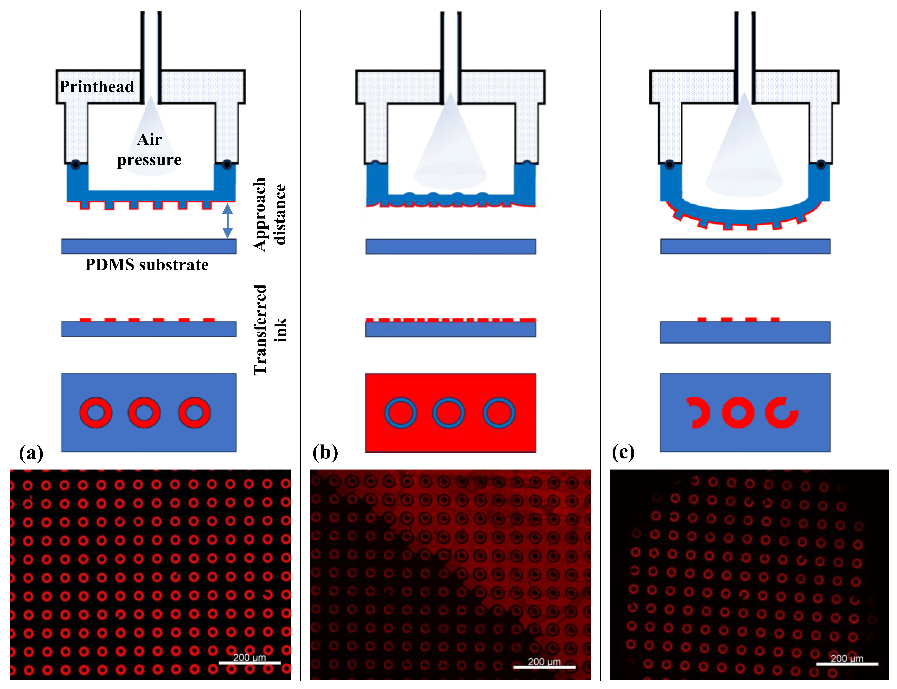 Chemosensors 13 00338 g004