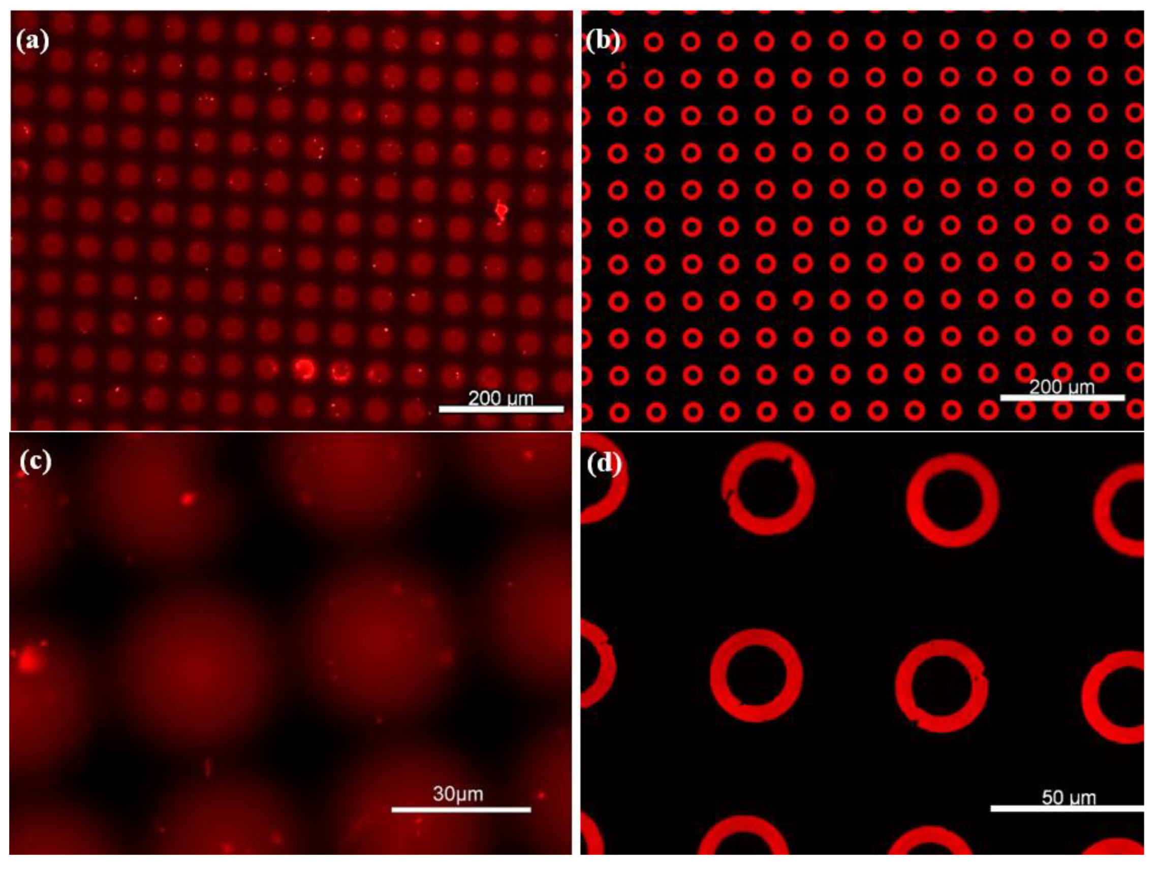 Chemosensors 13 00338 g005