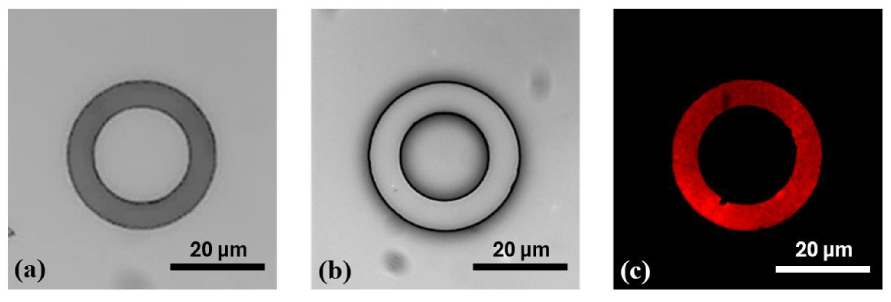 Chemosensors 13 00338 g006