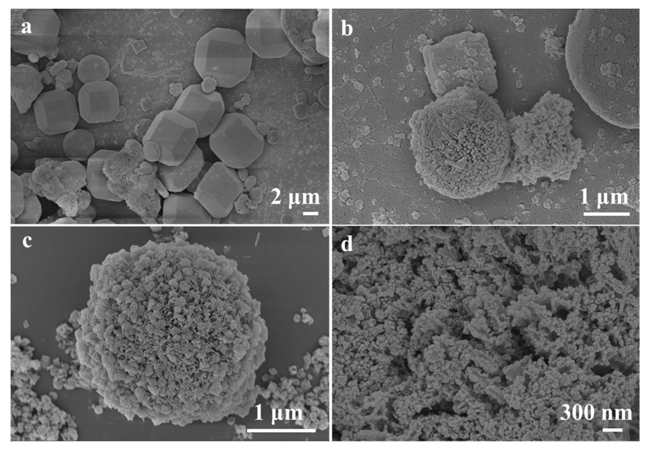 Chemosensors 13 00339 g002 Chemosensors 13 00339 g002