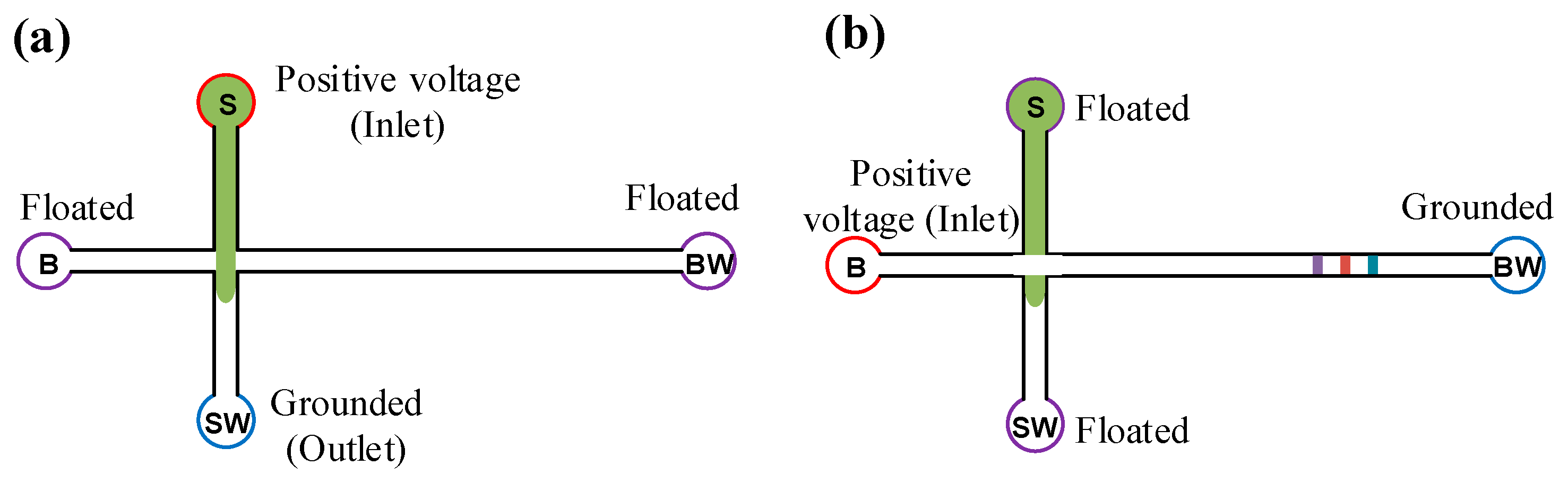 Chemosensors 13 00341 g003 Chemosensors 13 00341 g003