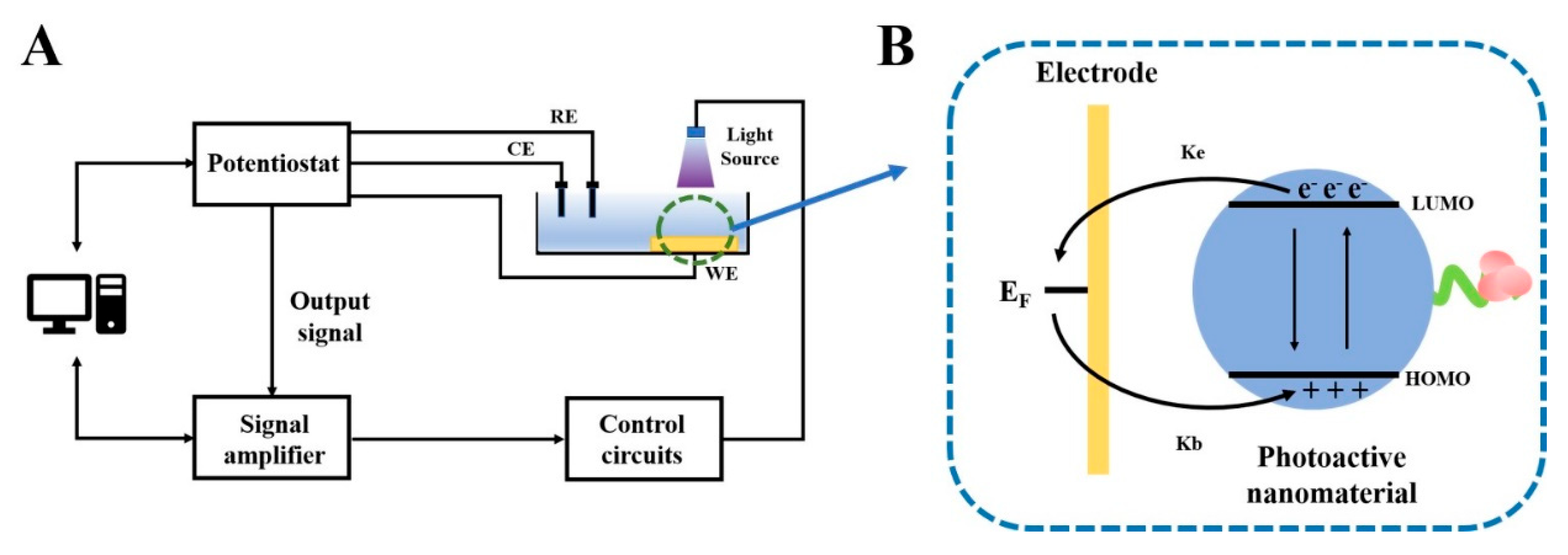 Chemosensors 13 00344 g001