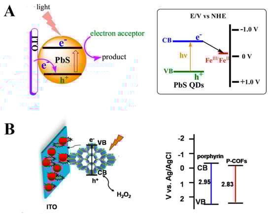 Chemosensors 13 00344 g002
