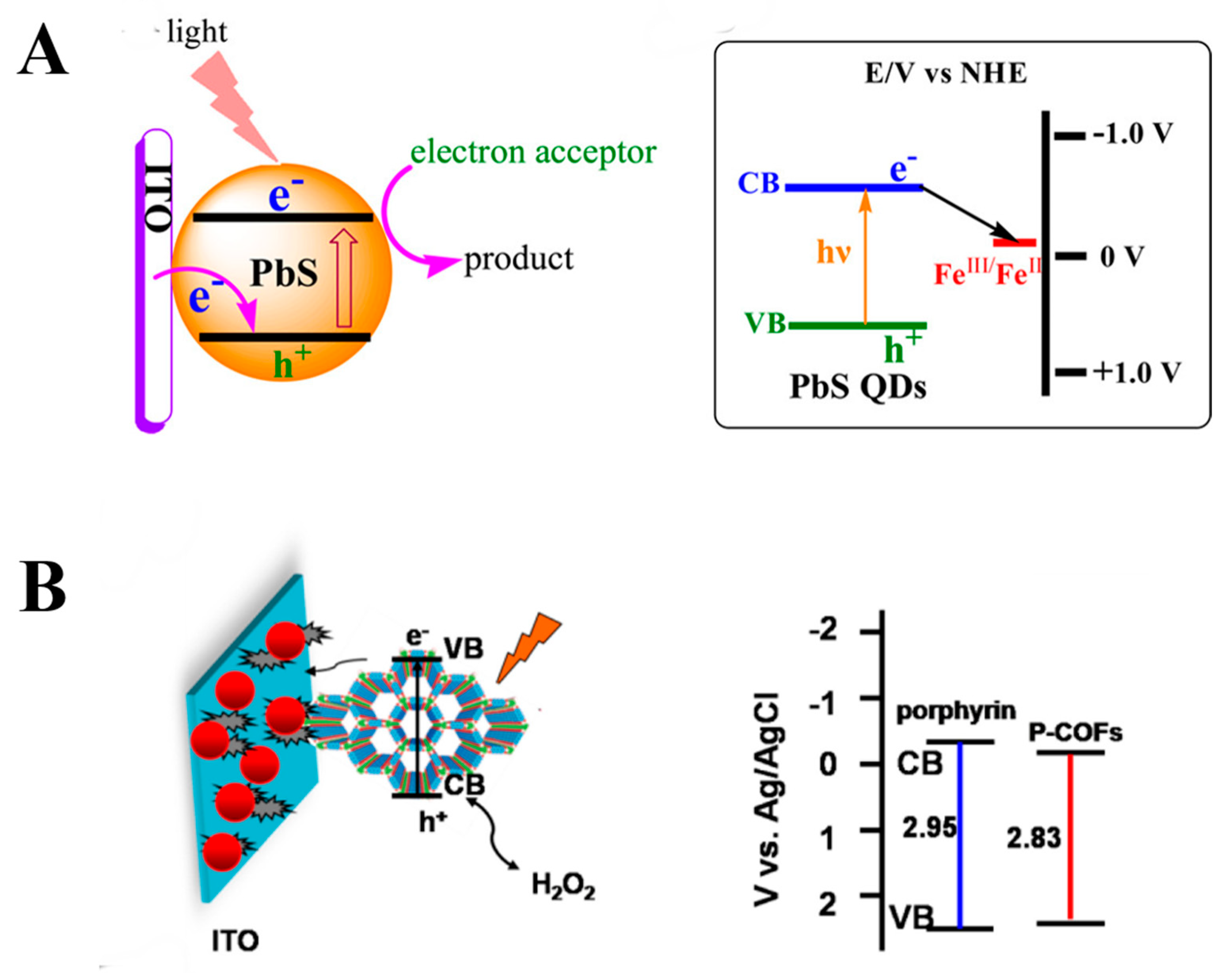 Chemosensors 13 00344 g002