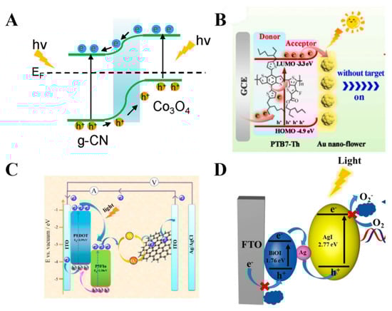 Chemosensors 13 00344 g003