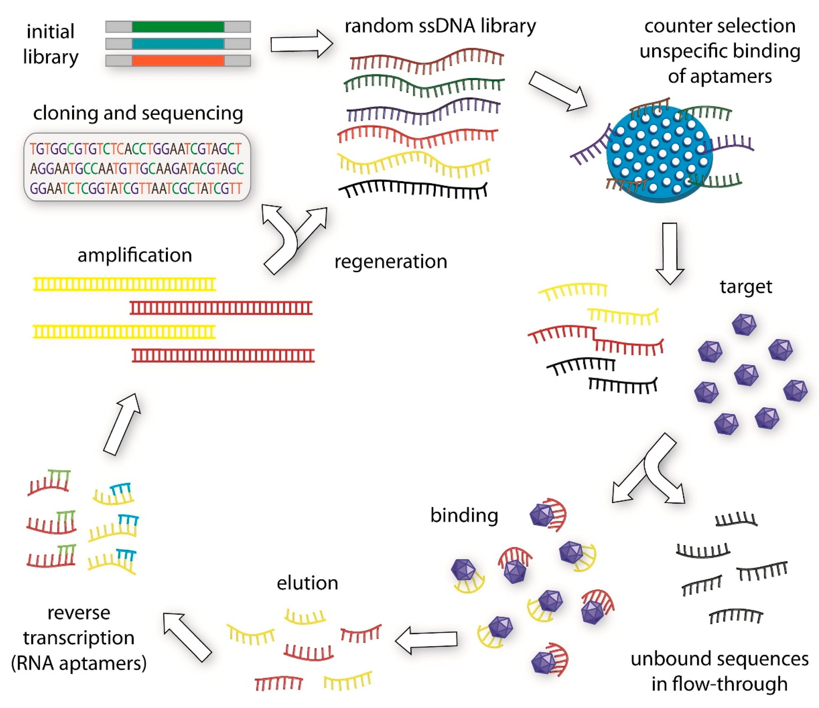 Chemosensors 13 00344 g004