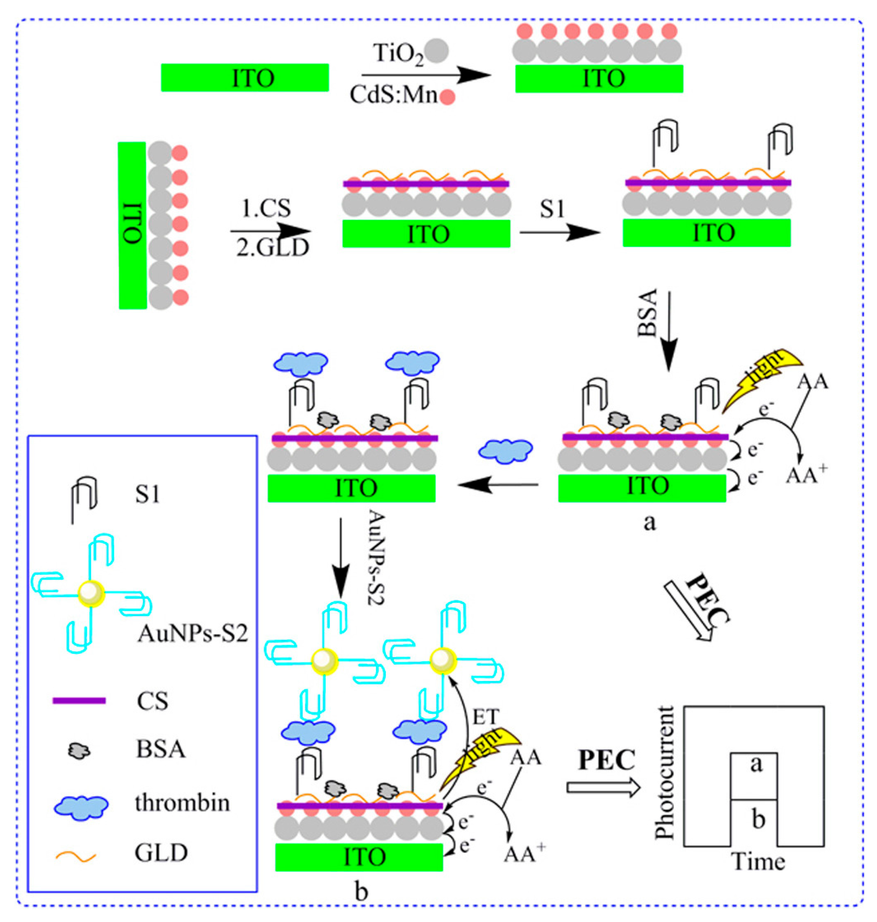 Chemosensors 13 00344 g006