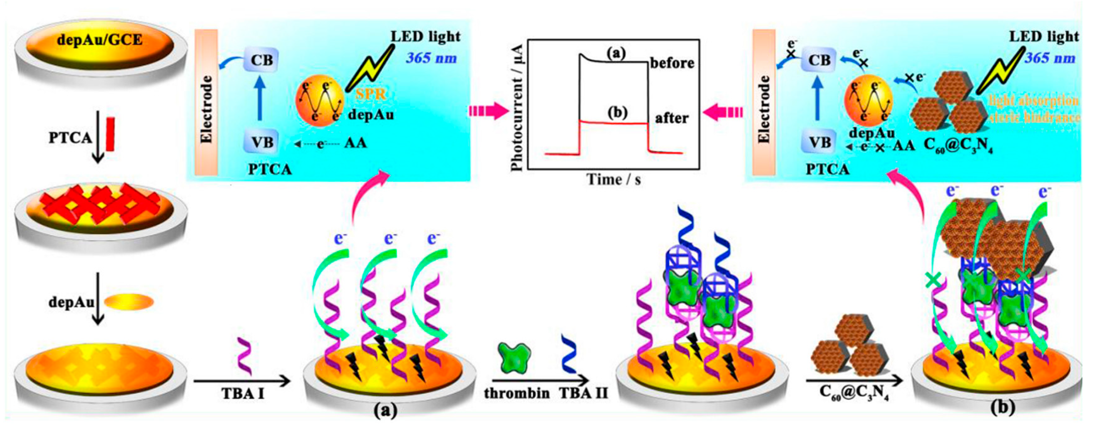 Chemosensors 13 00344 g007