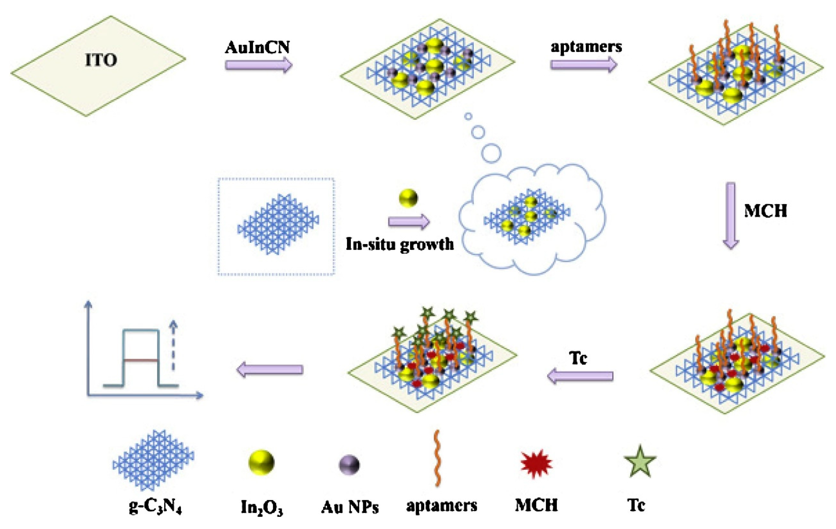 Chemosensors 13 00344 g008