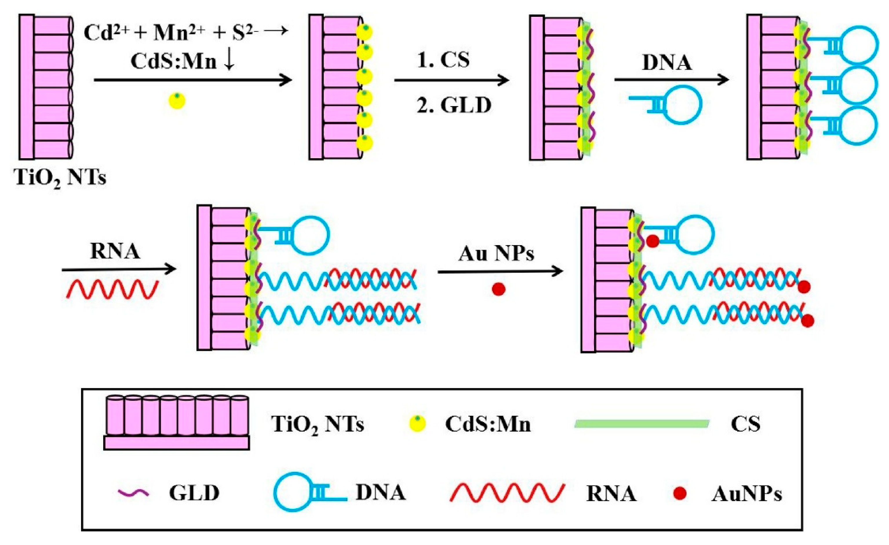 Chemosensors 13 00344 g009