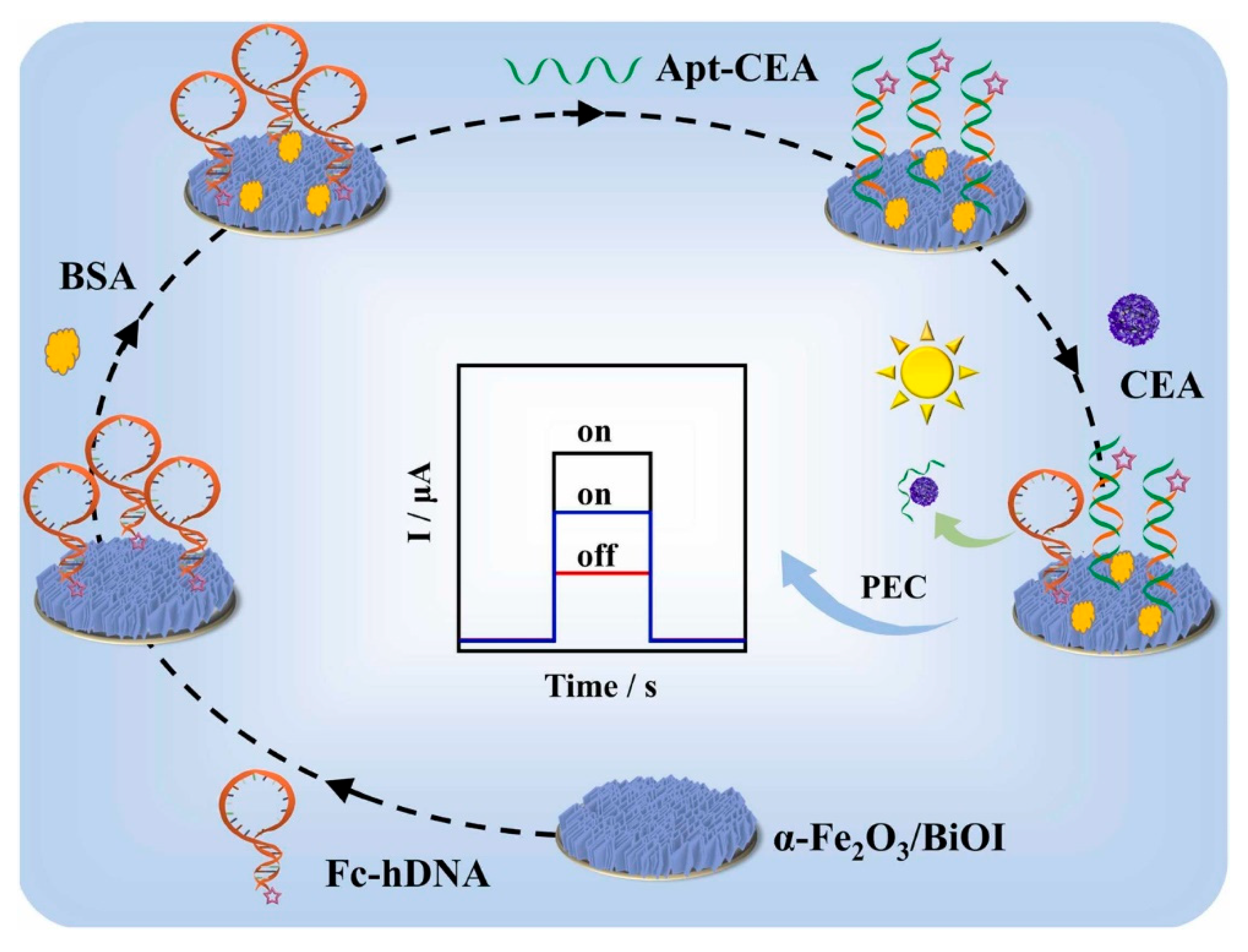 Chemosensors 13 00344 g010