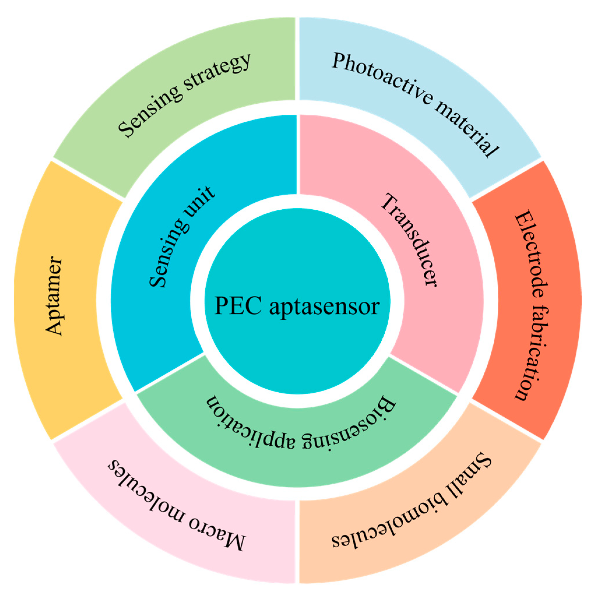 Chemosensors 13 00344 sch001