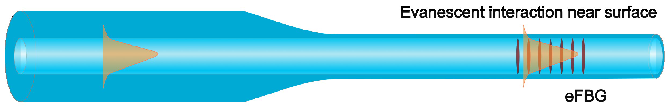 Chemosensors 13 00348 g002 Chemosensors 13 00348 g002