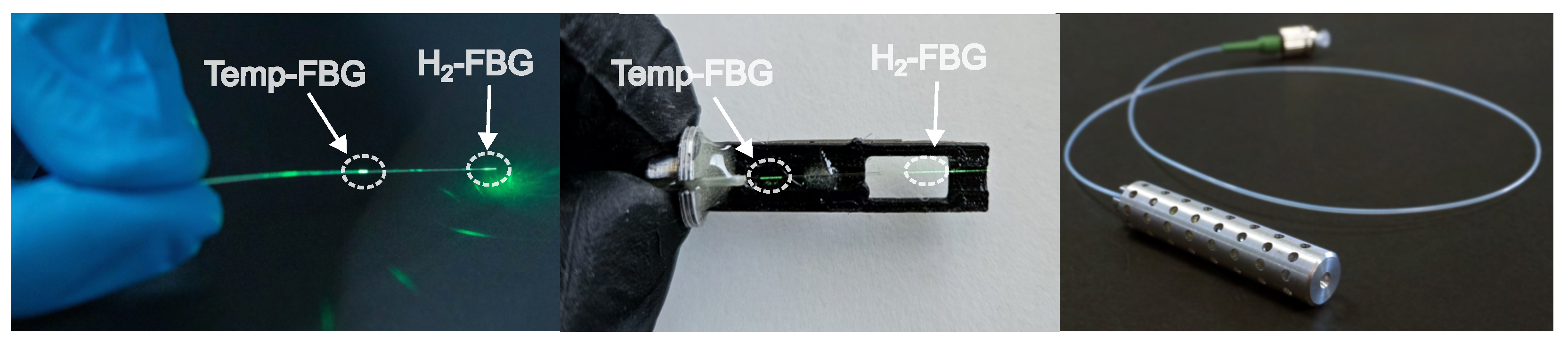 Chemosensors 13 00348 g004 Chemosensors 13 00348 g004