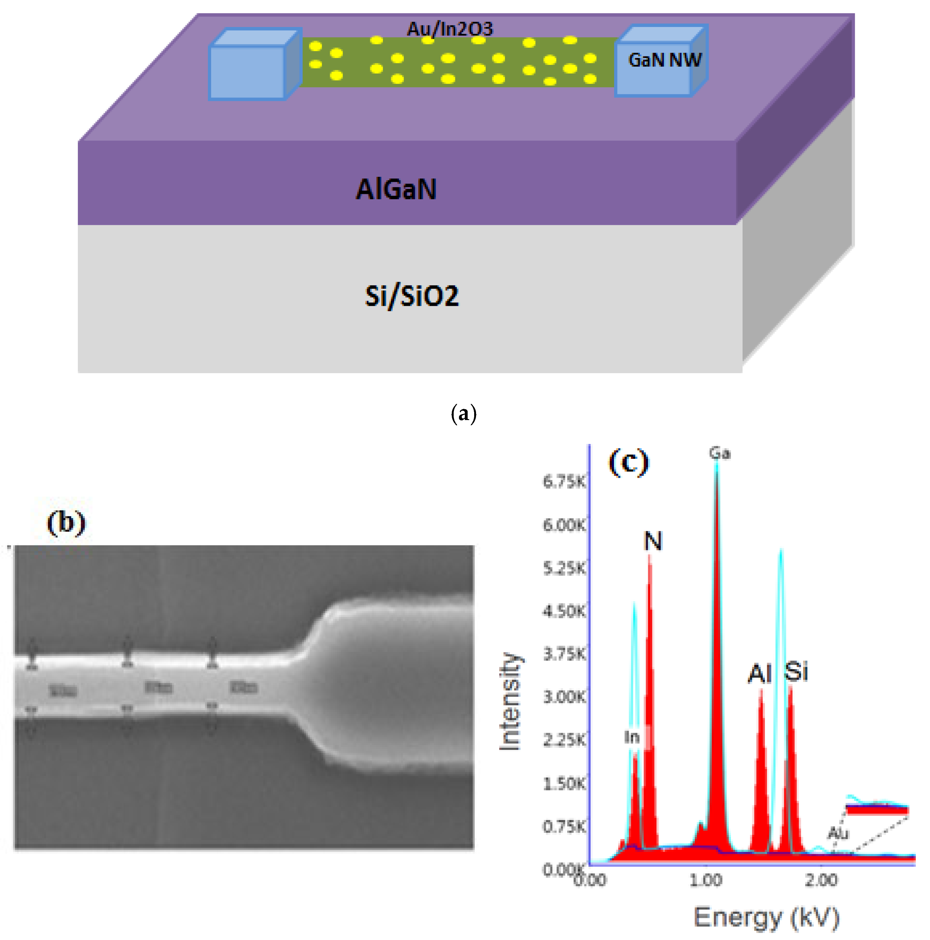 Chemosensors 13 00350 g001