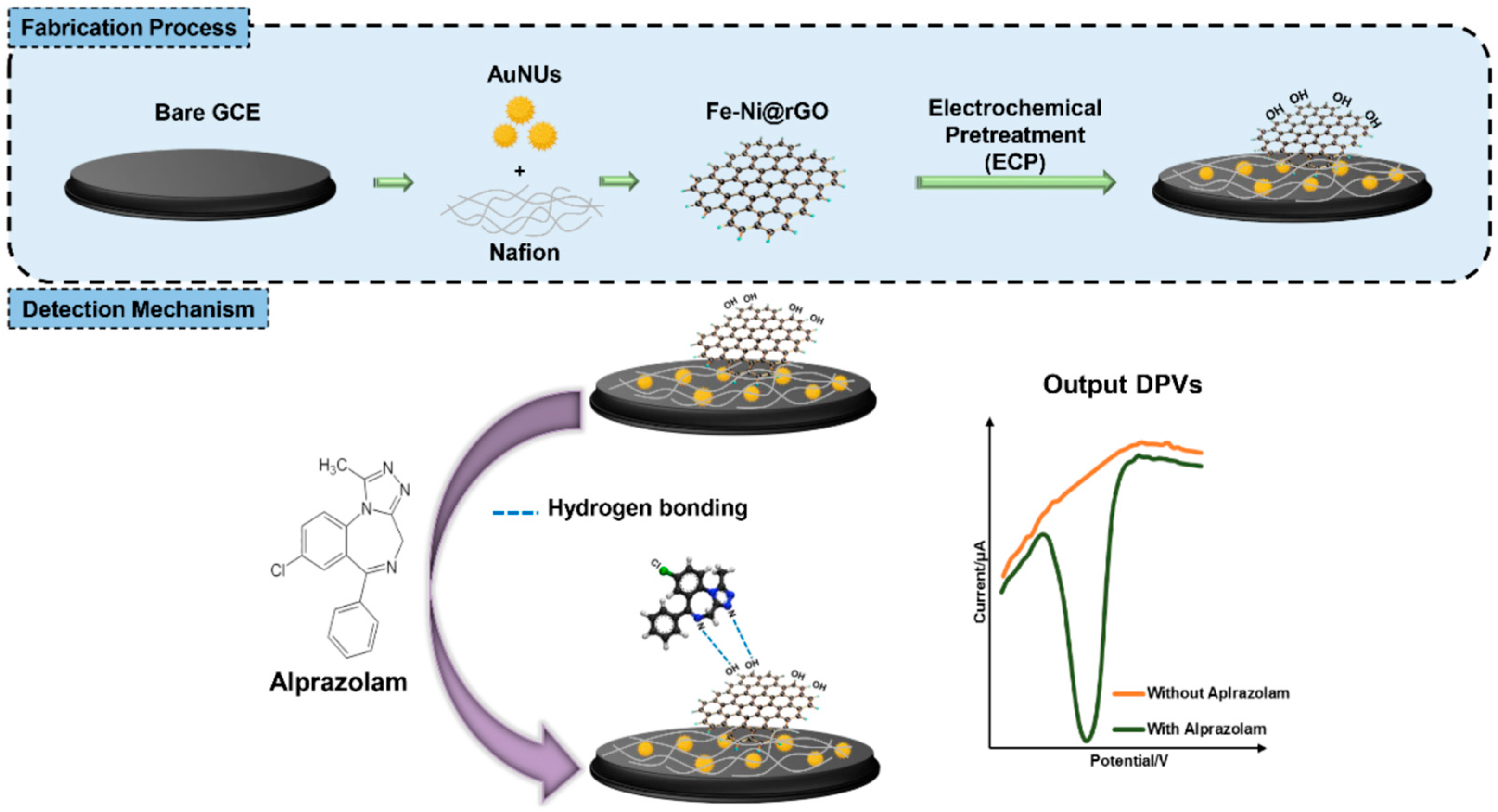 Chemosensors 13 00351 g005