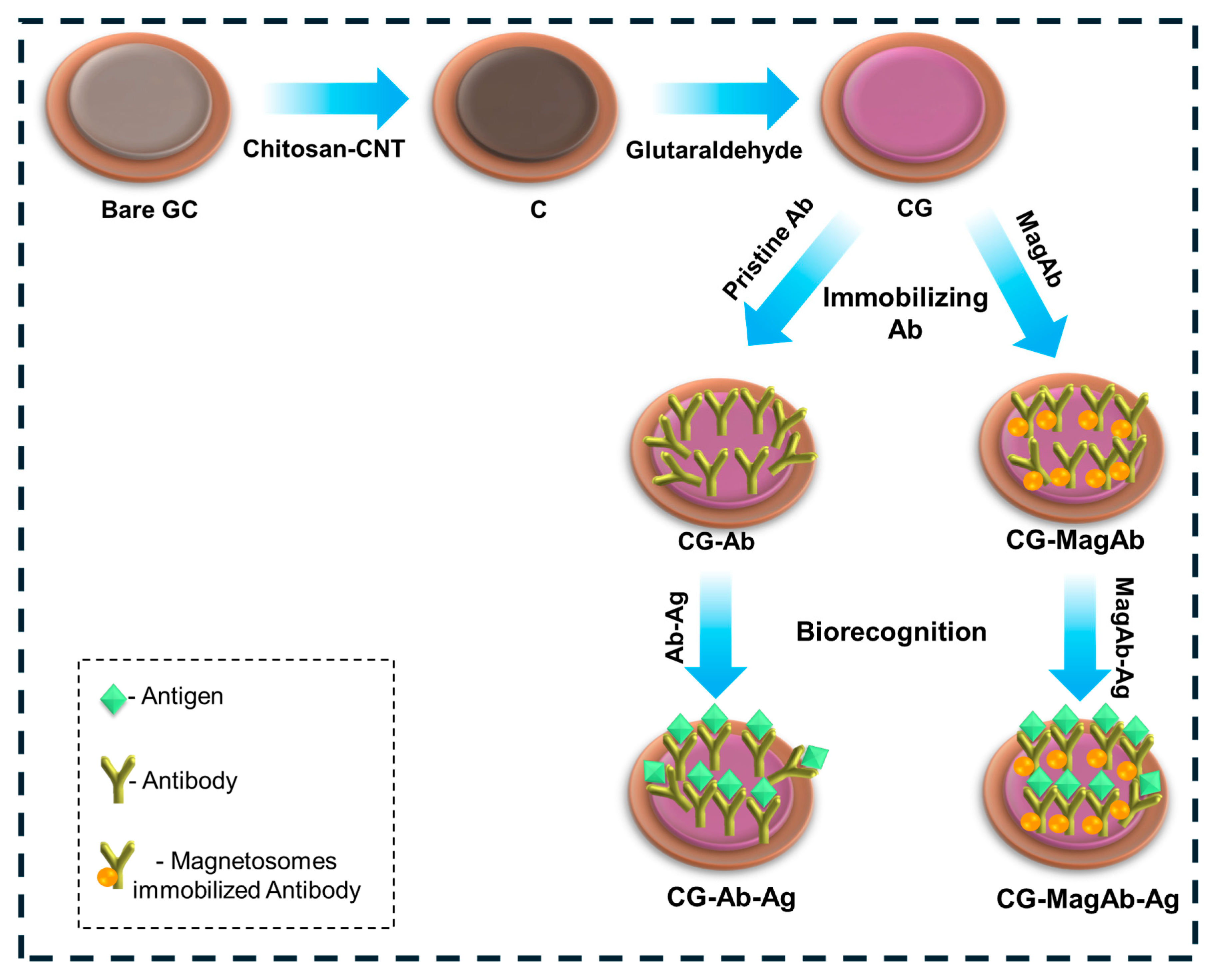 Chemosensors 13 00355 g001 Chemosensors 13 00355 g001