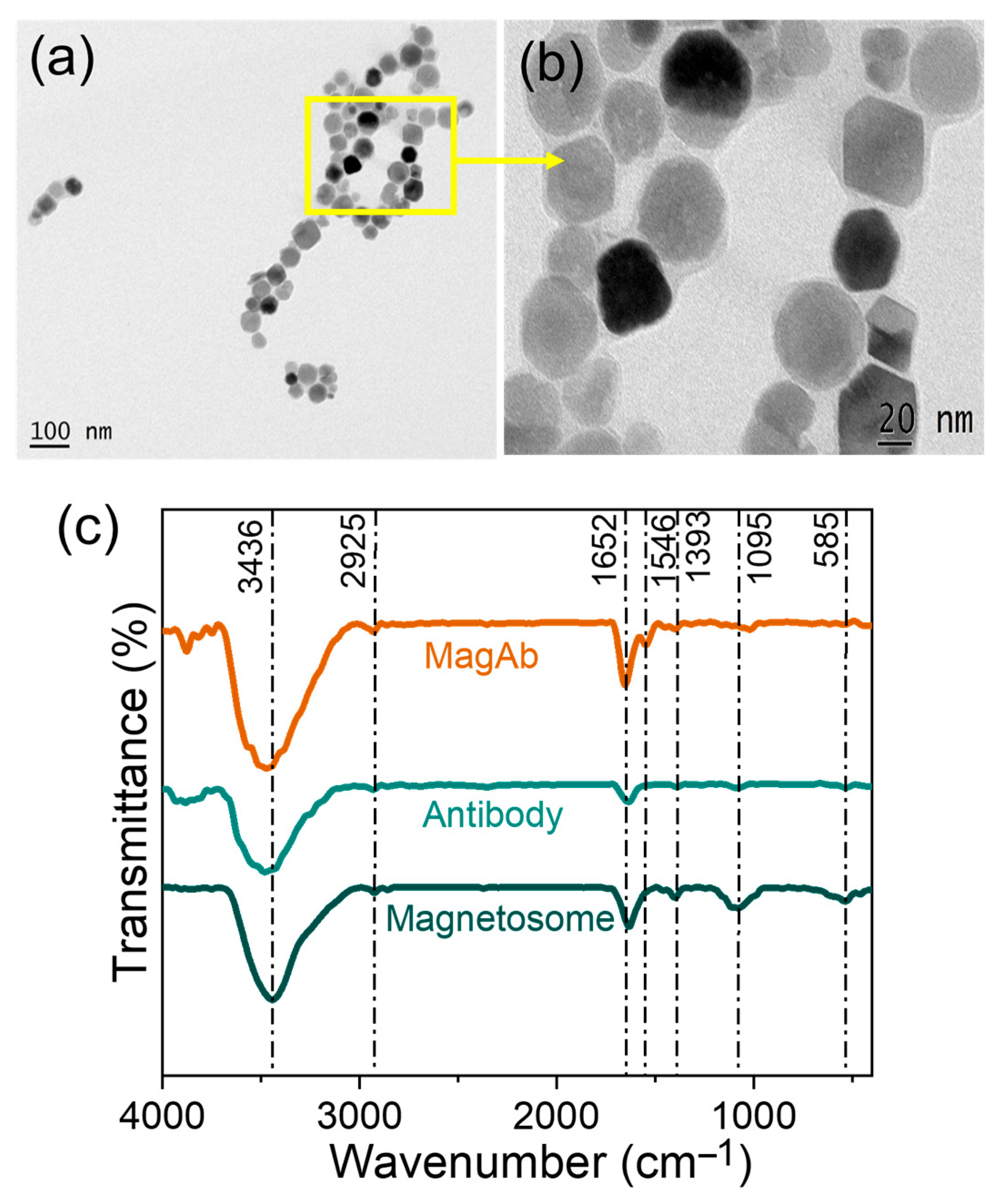 Chemosensors 13 00355 g002 Chemosensors 13 00355 g002
