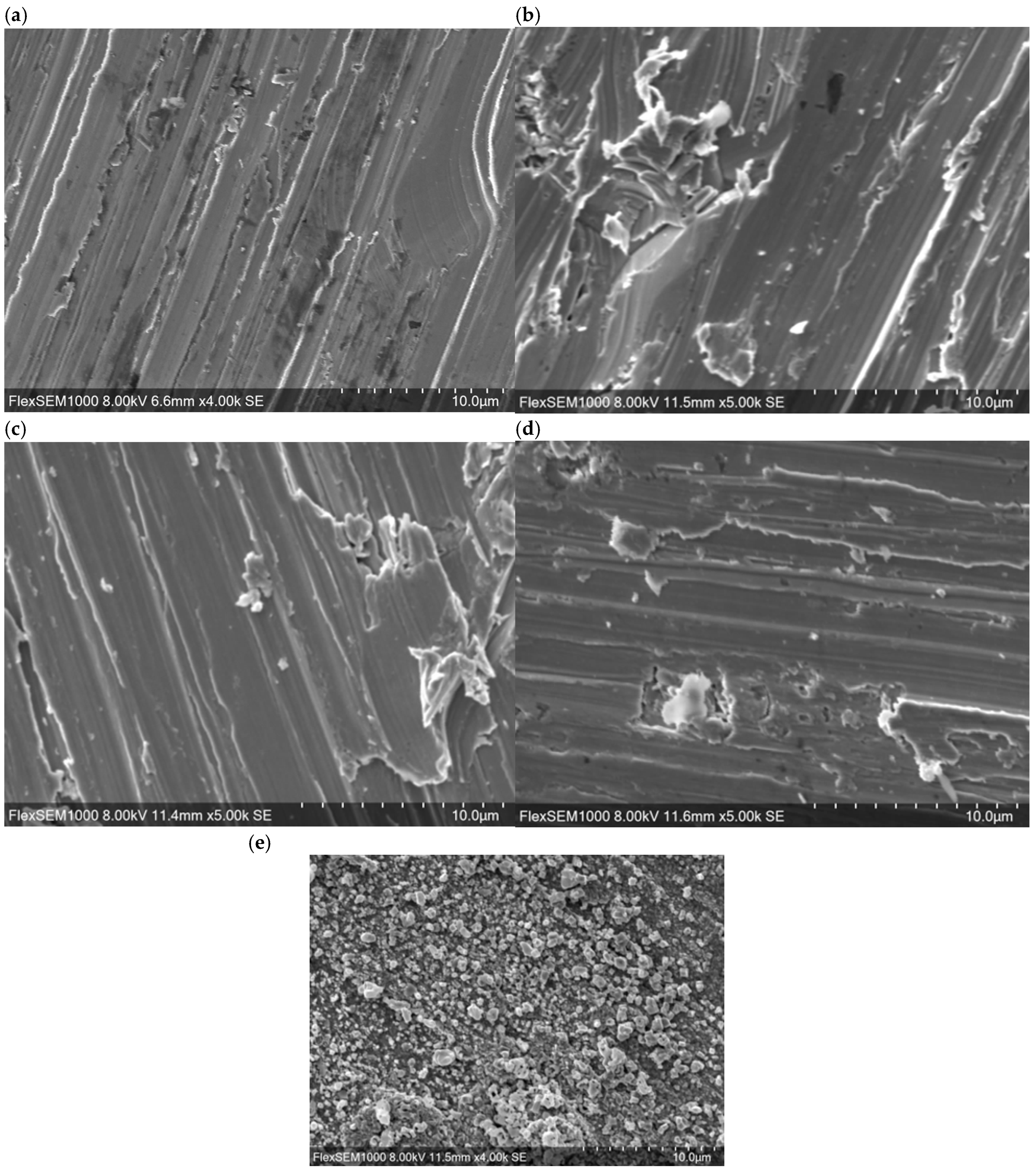 Chemosensors 13 00356 g001