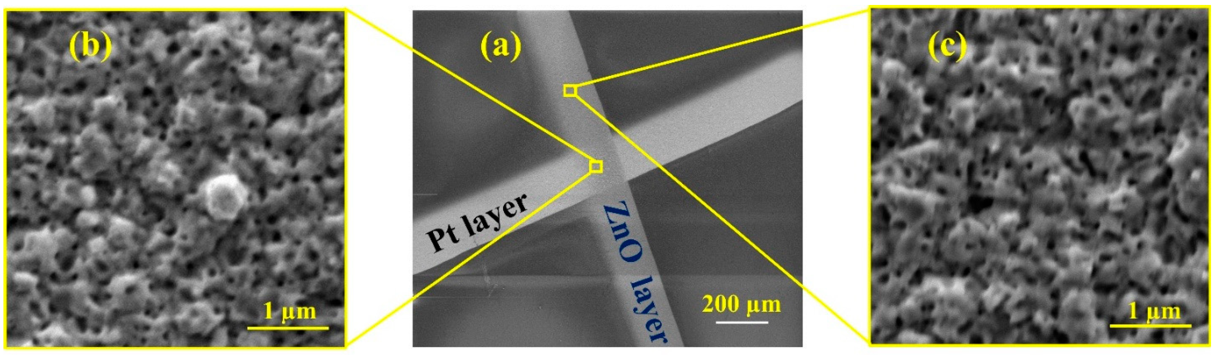 Chemosensors 13 00358 g009 Chemosensors 13 00358 g009