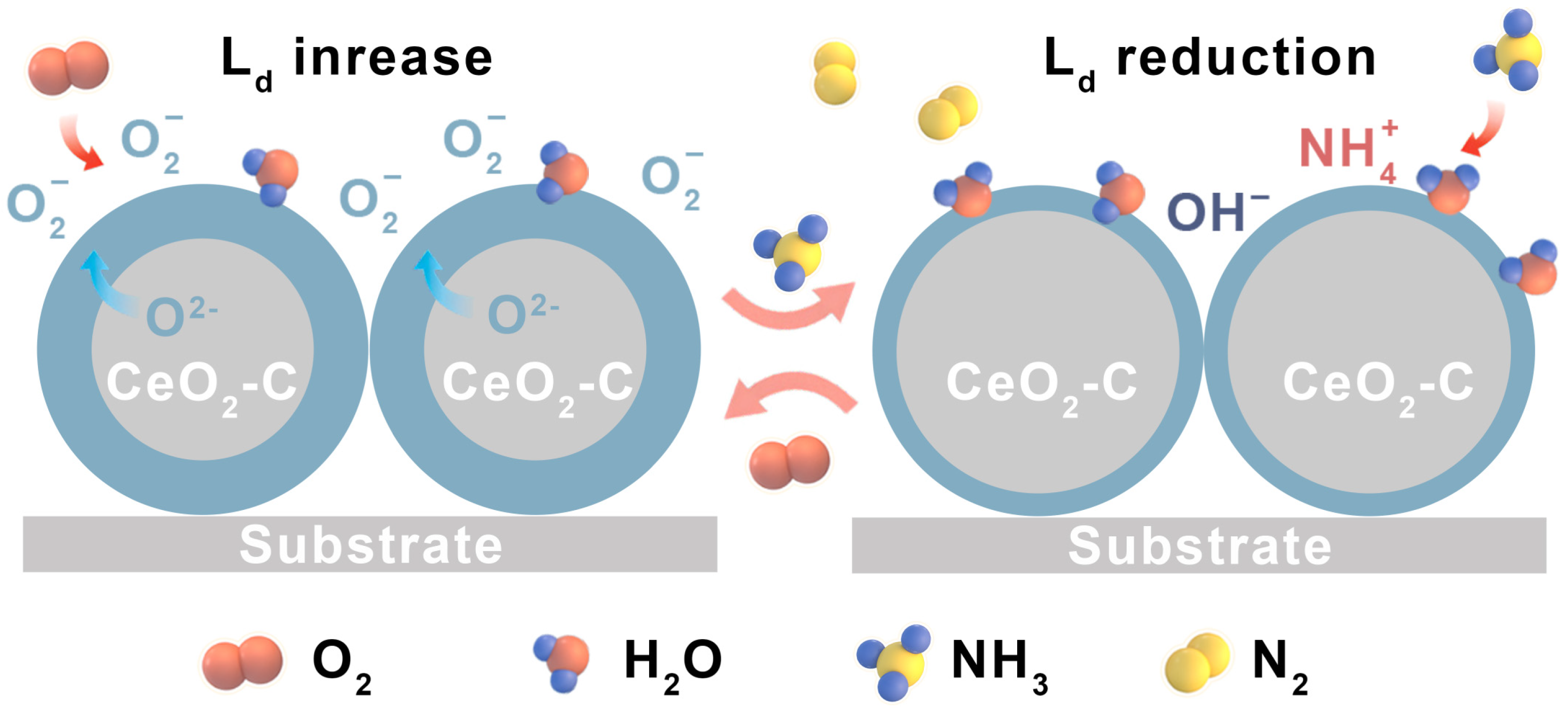 Chemosensors 13 00362 g007