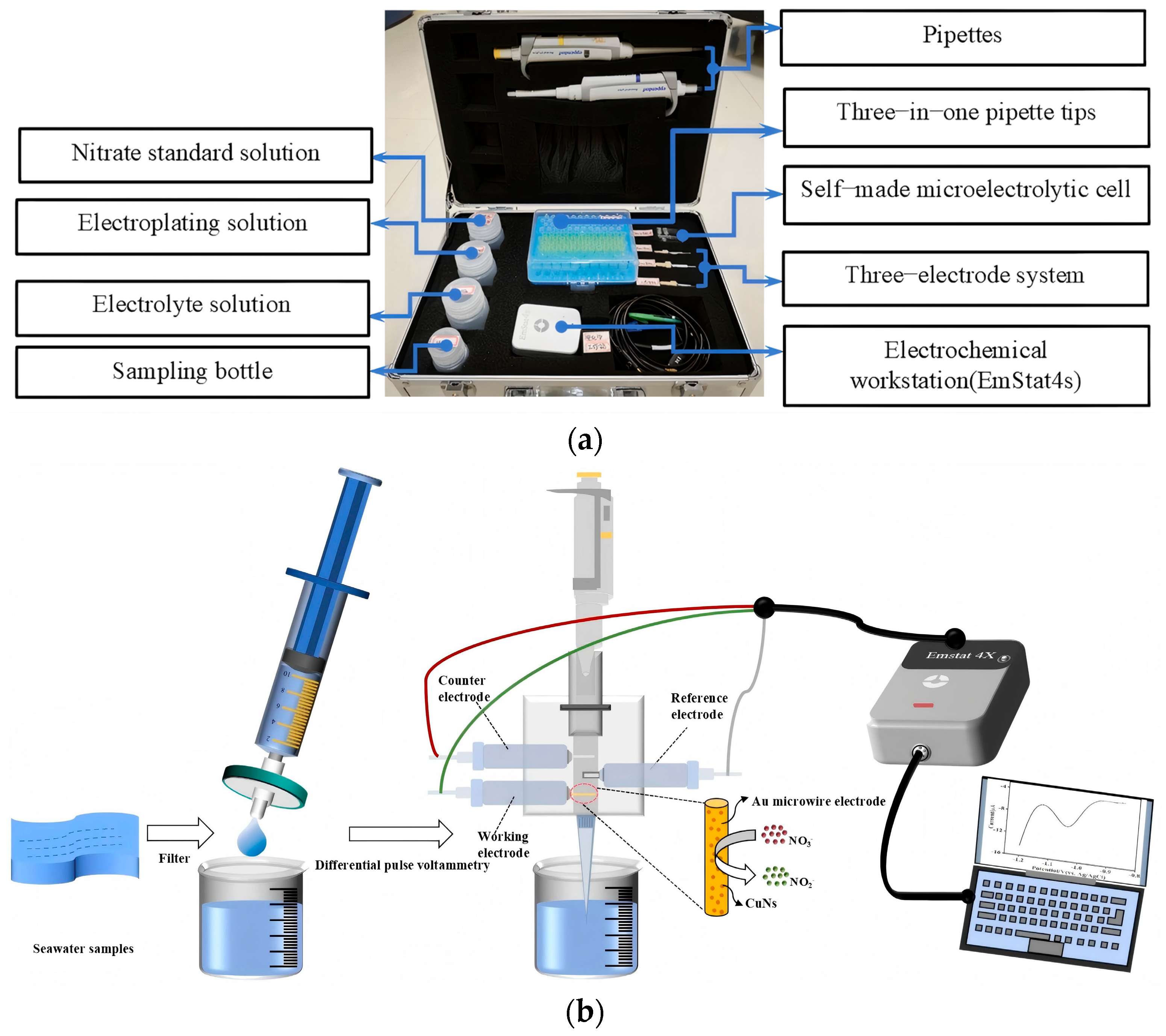 Chemosensors 13 00366 g001