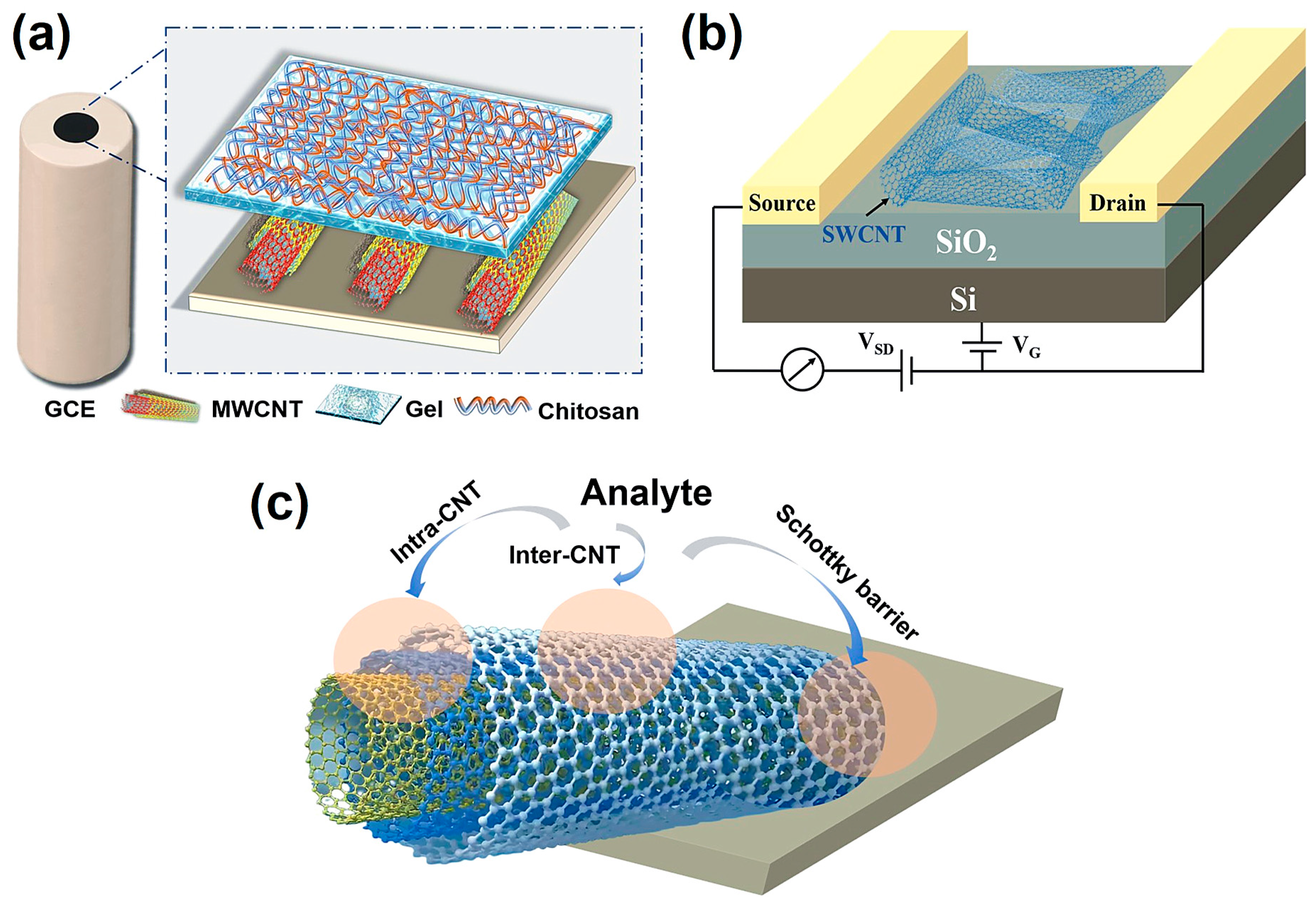 Chemosensors 13 00367 g003 Chemosensors 13 00367 g003