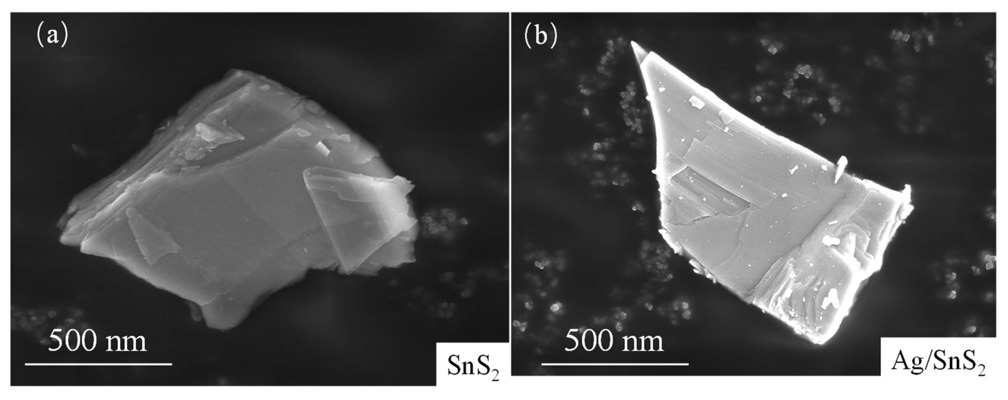 Chemosensors 13 00368 g003
