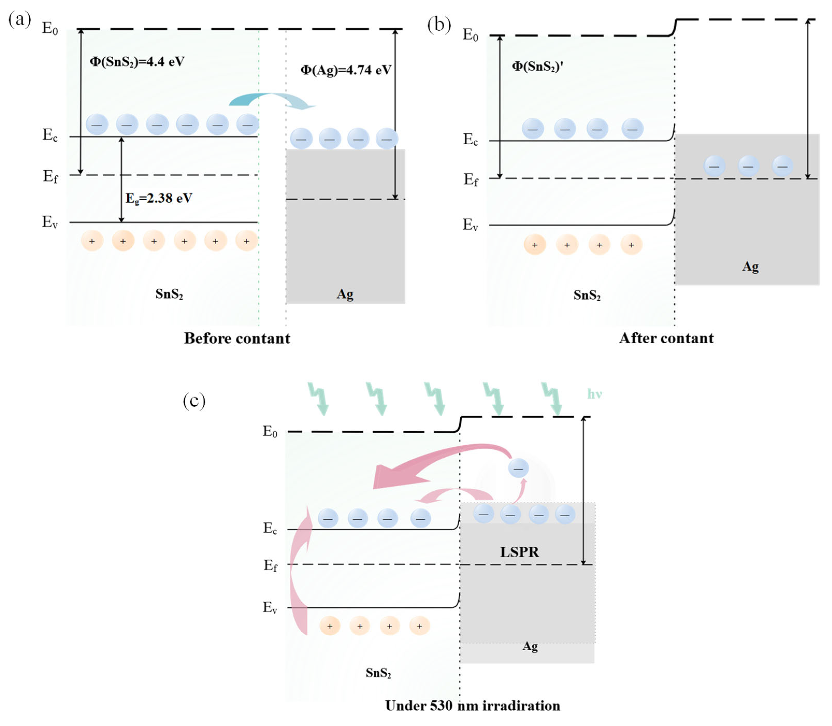Chemosensors 13 00368 g009