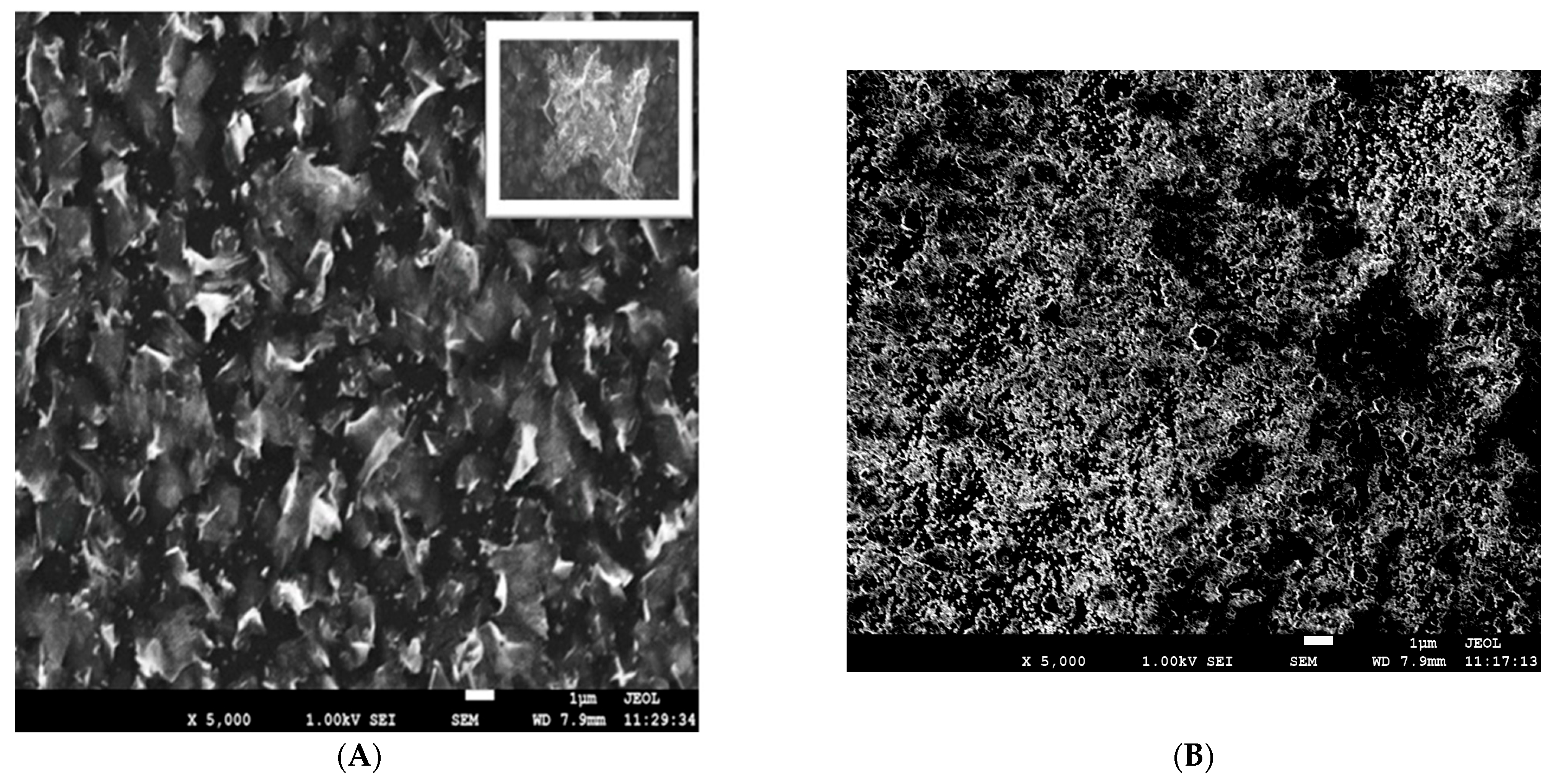 Chemosensors 13 00369 g001 Chemosensors 13 00369 g001