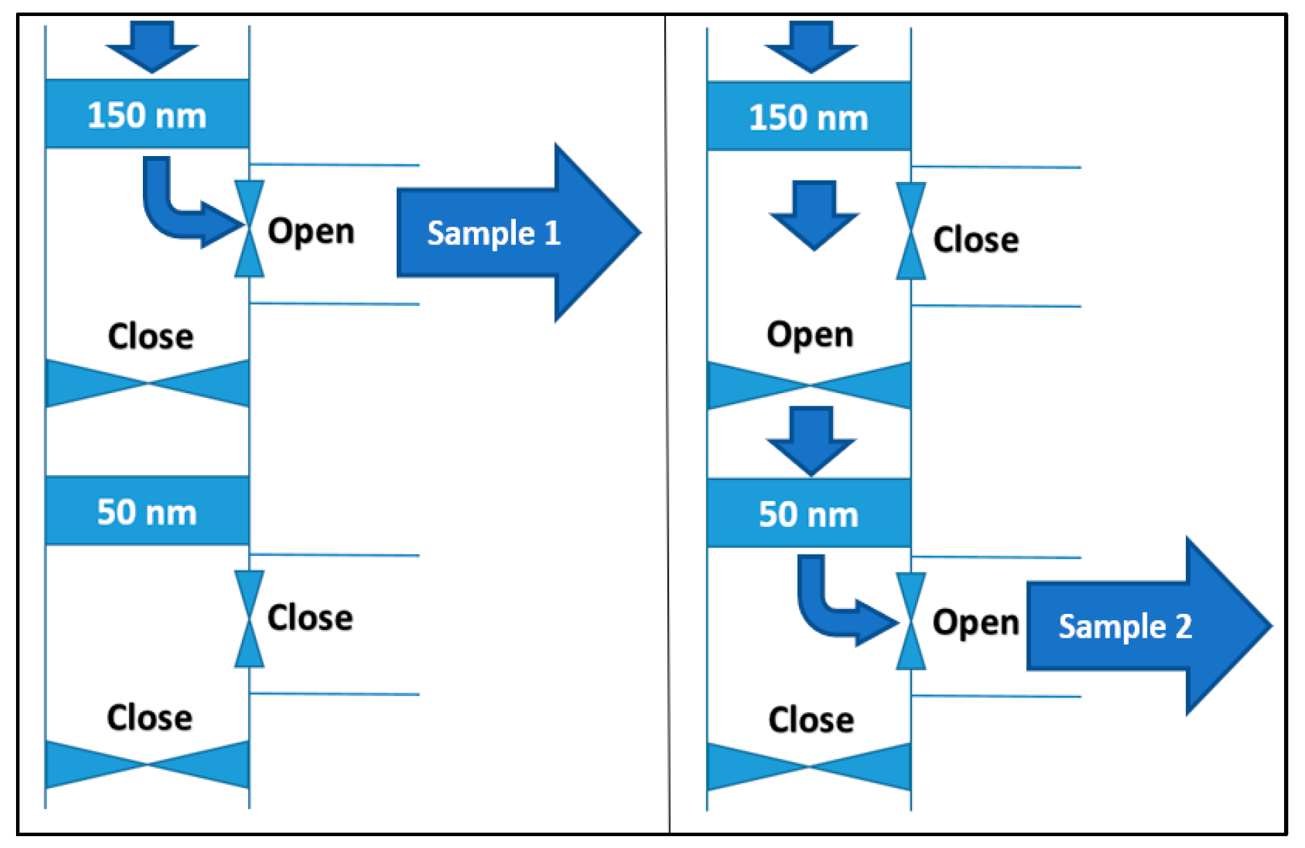 Chemosensors 13 00371 g012