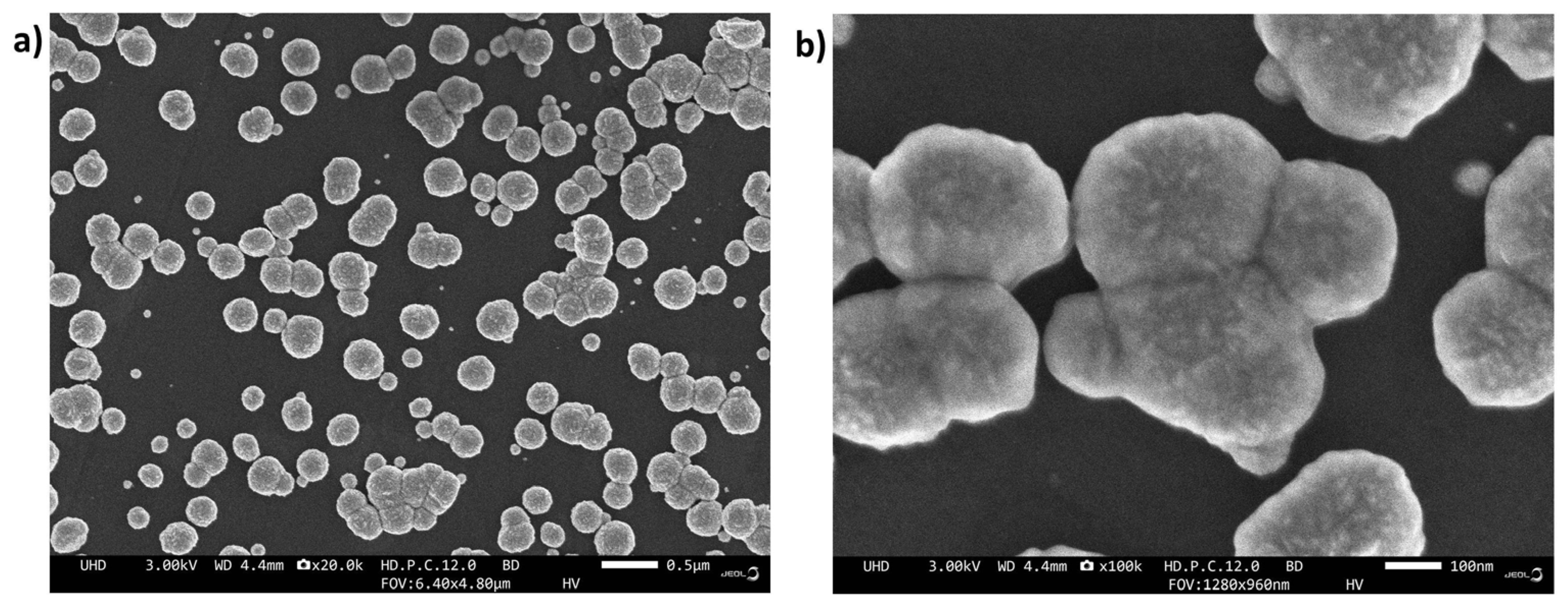 Chemosensors 13 00376 g001