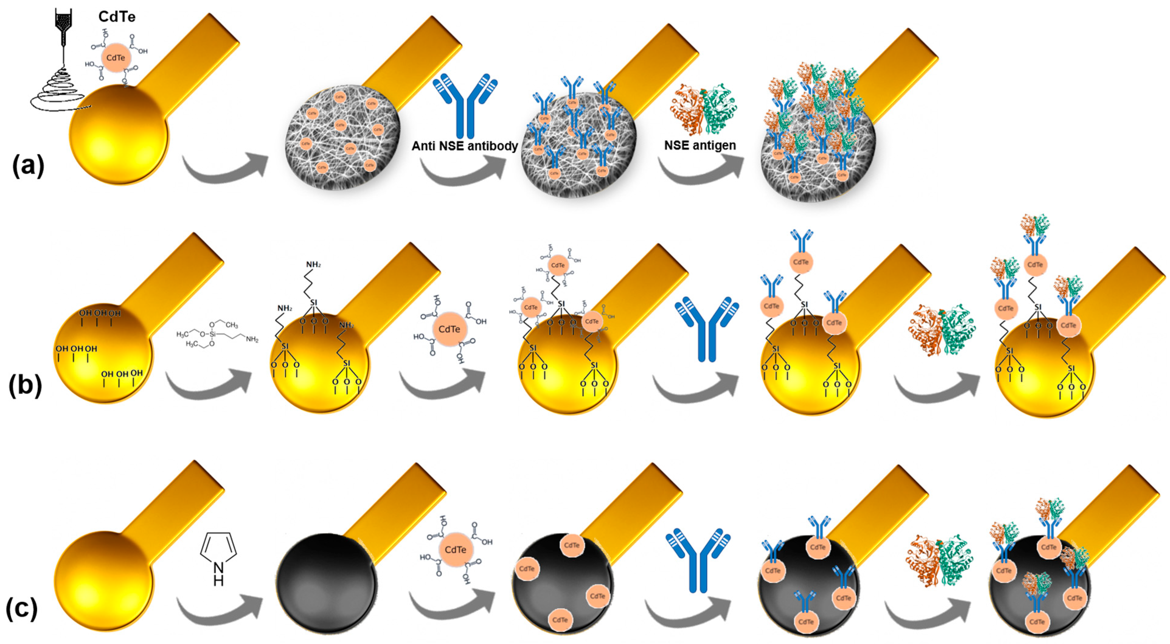Chemosensors 13 00377 g001