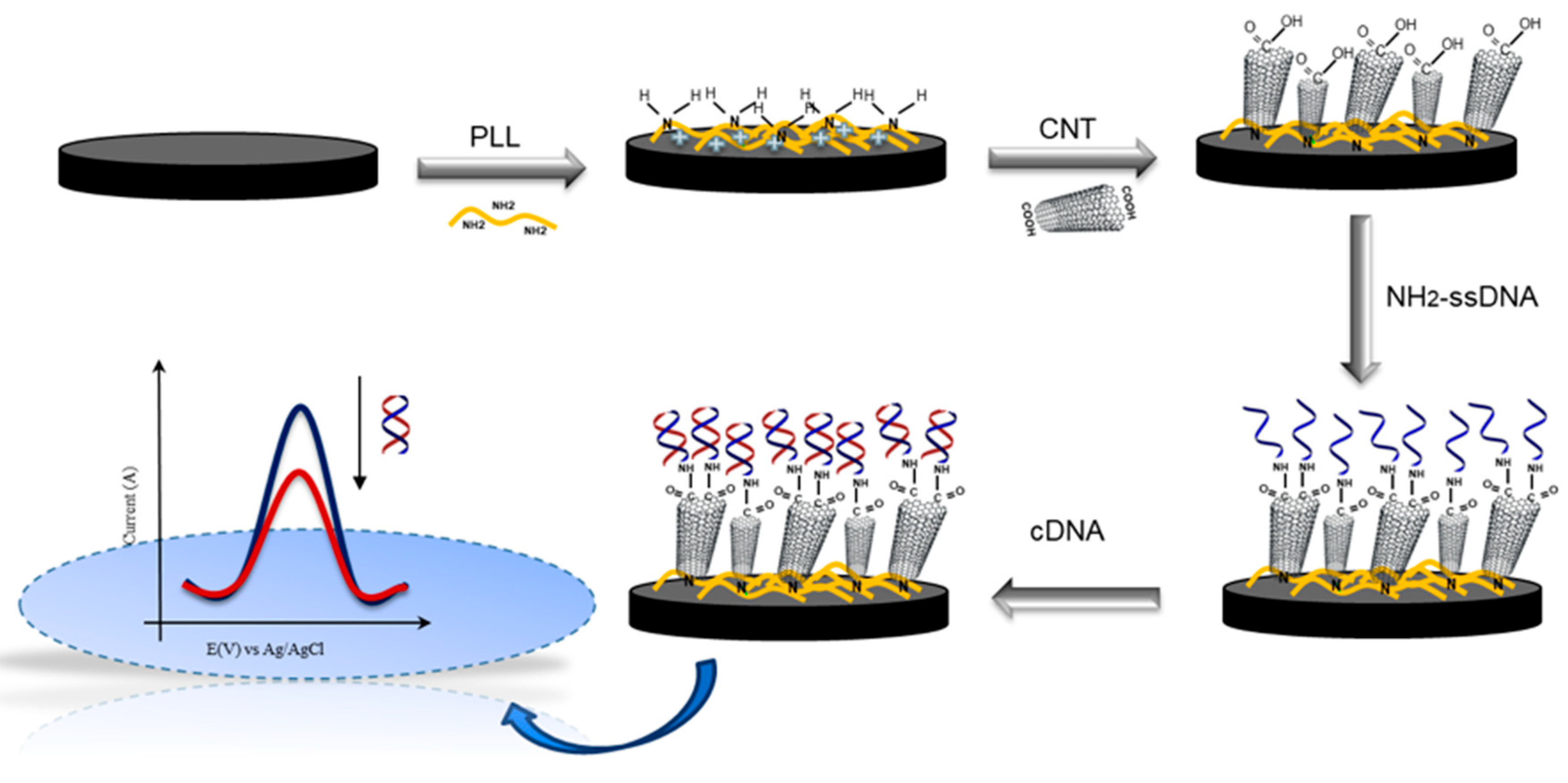 Chemosensors 13 00379 g001