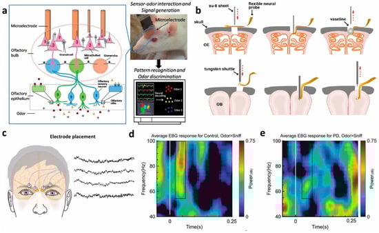 Chemosensors 13 00381 g004
