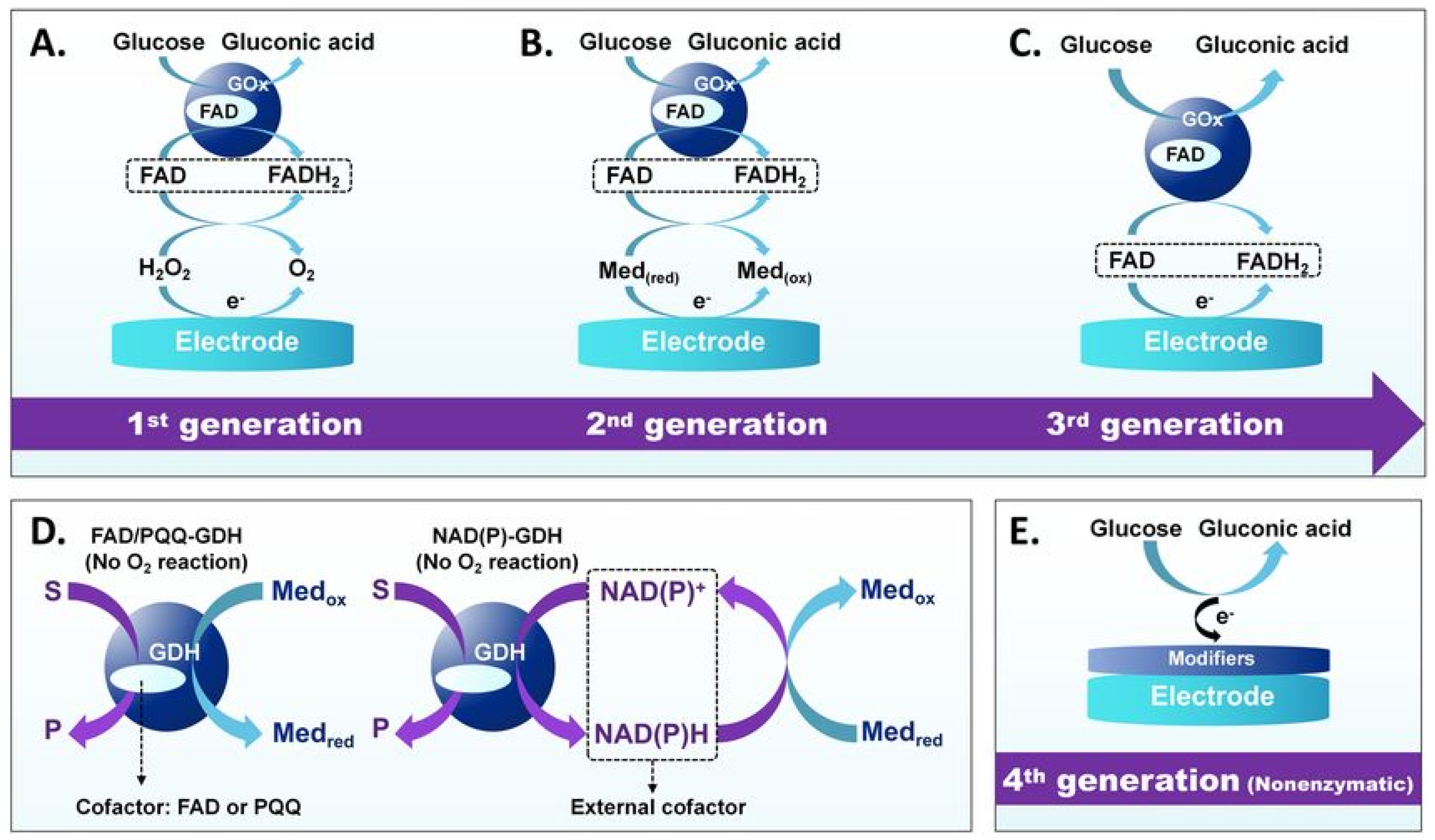 Chemosensors 13 00385 g004