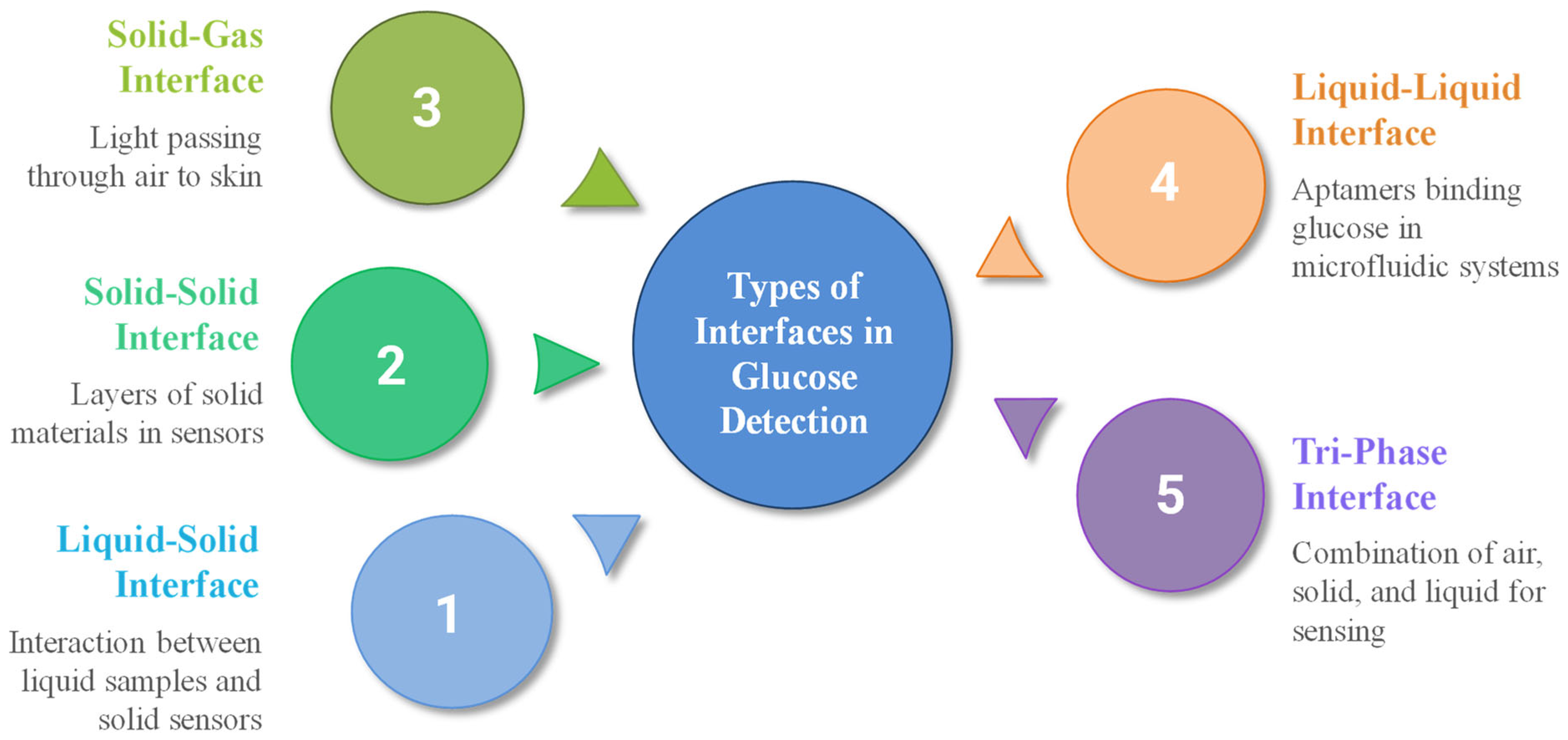 Chemosensors 13 00385 g007